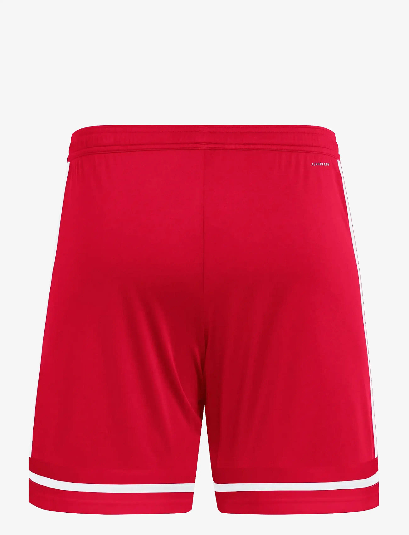 adidas Performance - SQUA25 SHO M - träningsshorts - tepore/tepore/white - 2