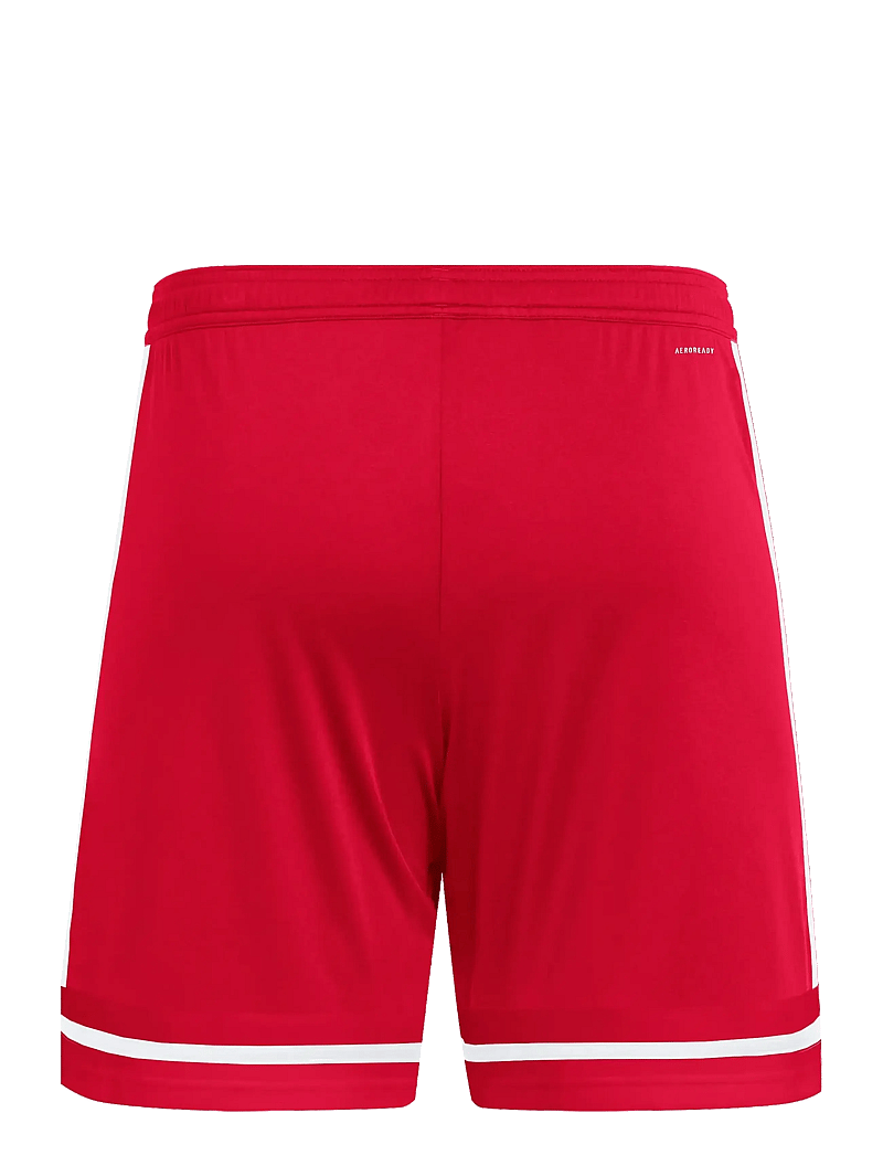 adidas Performance - SQUA25 SHO M - trainingsshorts - tepore/tepore/white - 2