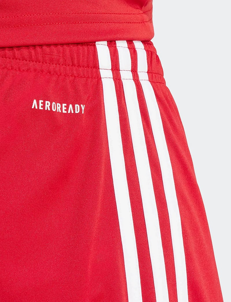 adidas Performance - SQUA25 SHO M - trainingsshorts - tepore/tepore/white - 3
