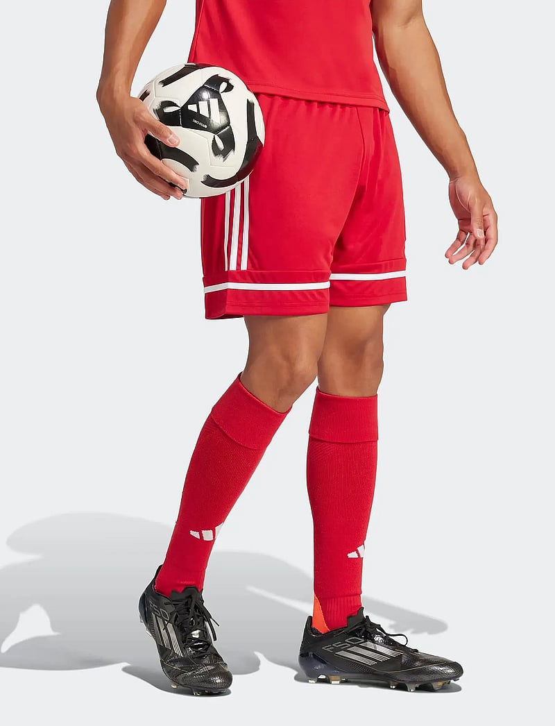 adidas Performance - SQUA25 SHO M - trainingsshorts - tepore/tepore/white - 4