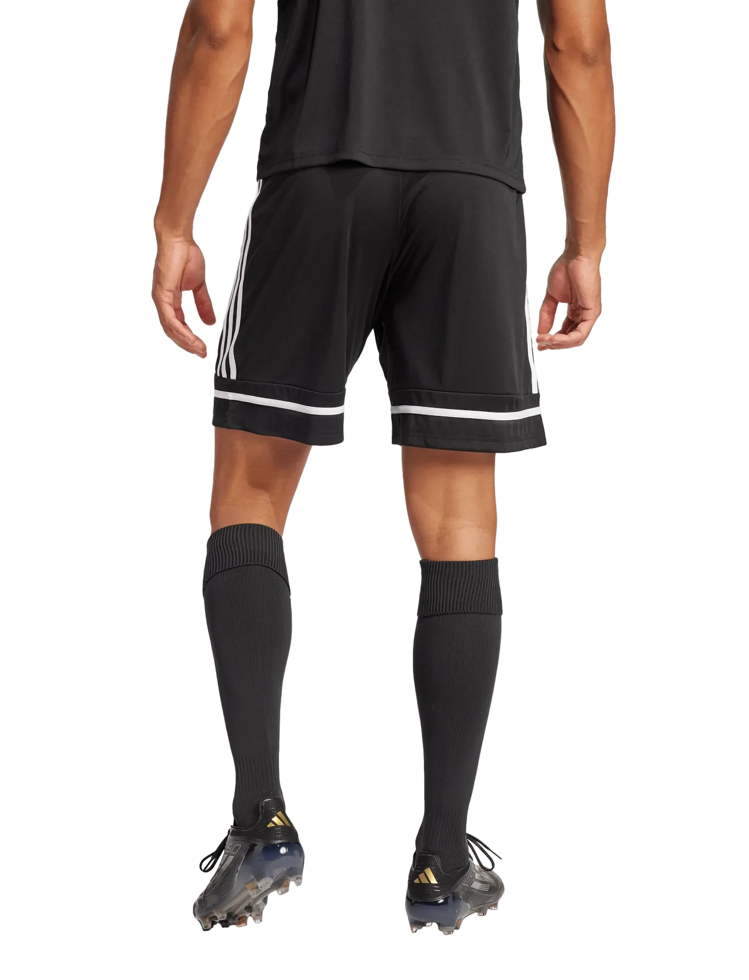 adidas Performance - SQUA25 SHO M - spodenki treningowe - black/black/white - 5