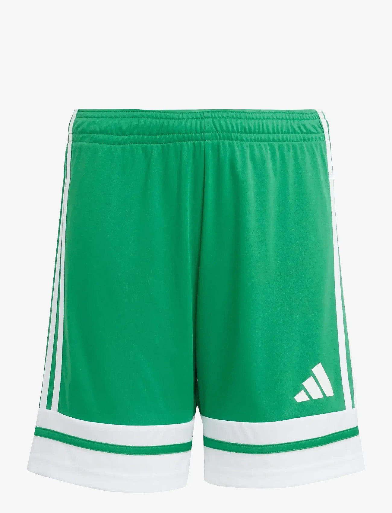 adidas Performance - SQUA25 SHO Y - sportsshorts - teagrn/white - 1