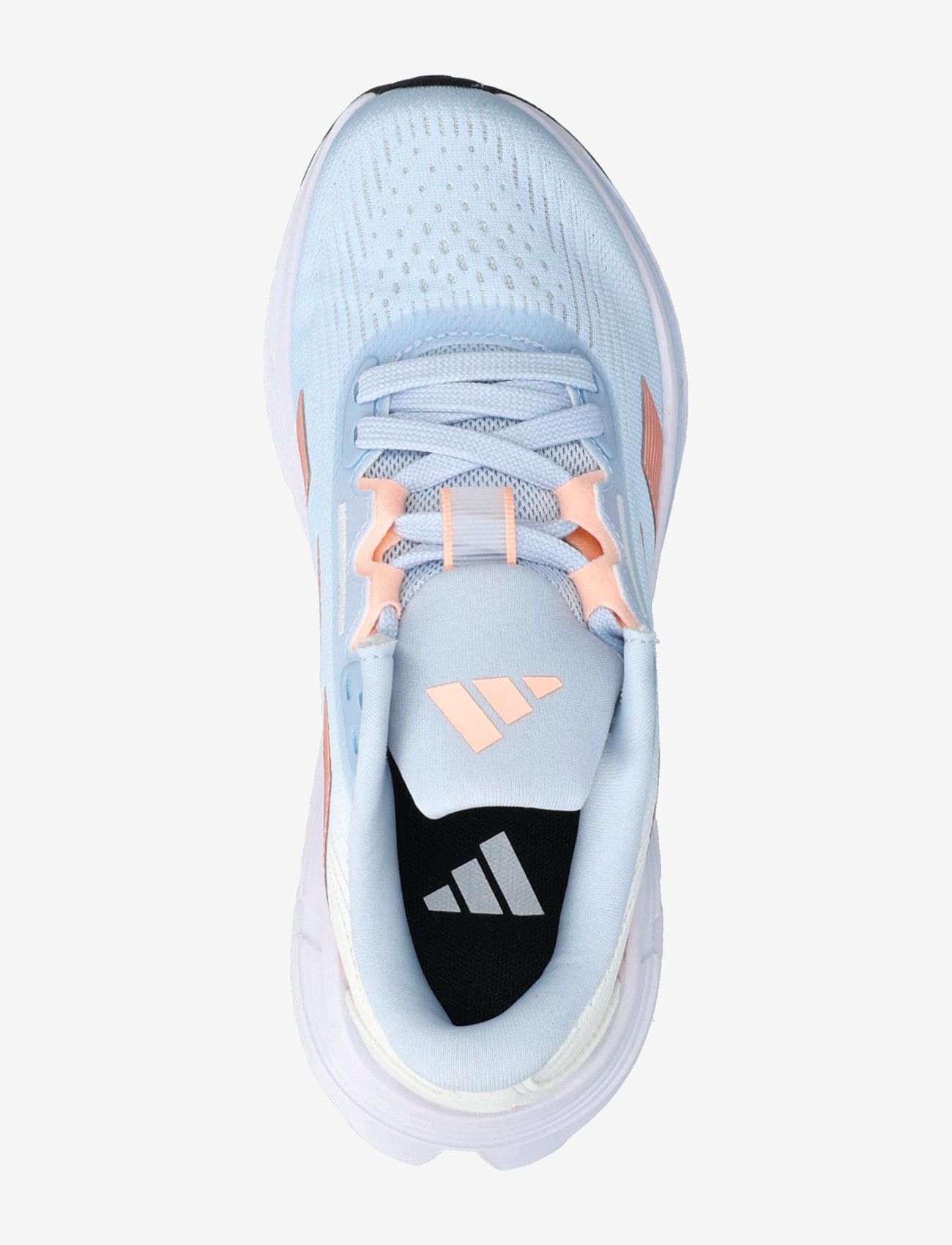 adidas Performance - QUESTAR 3 W - jooksujalatsid - crsk/cleora/halblu - 3