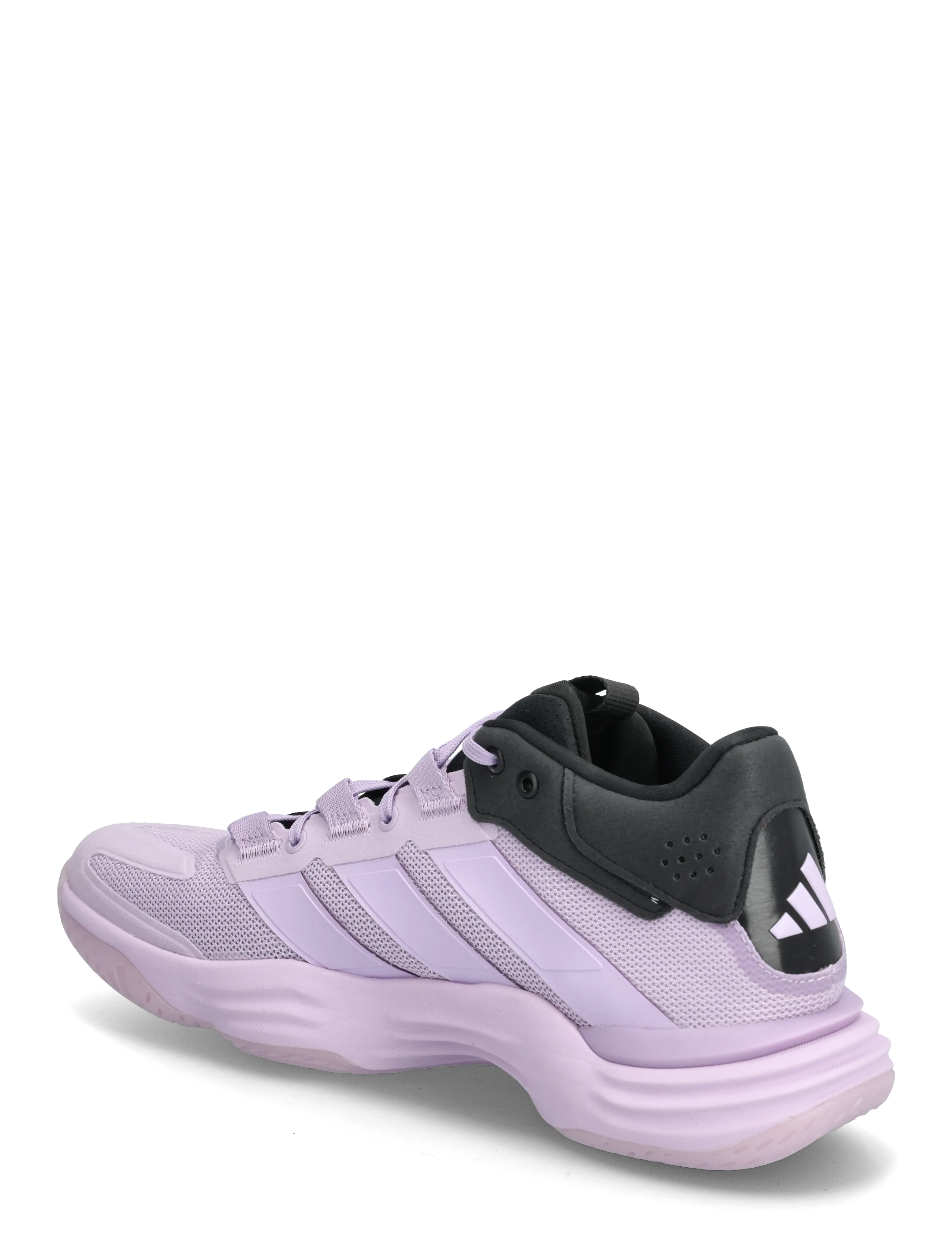 adidas Performance - Courtstabil W - sneakers - powplu/powplu/cblack - 2