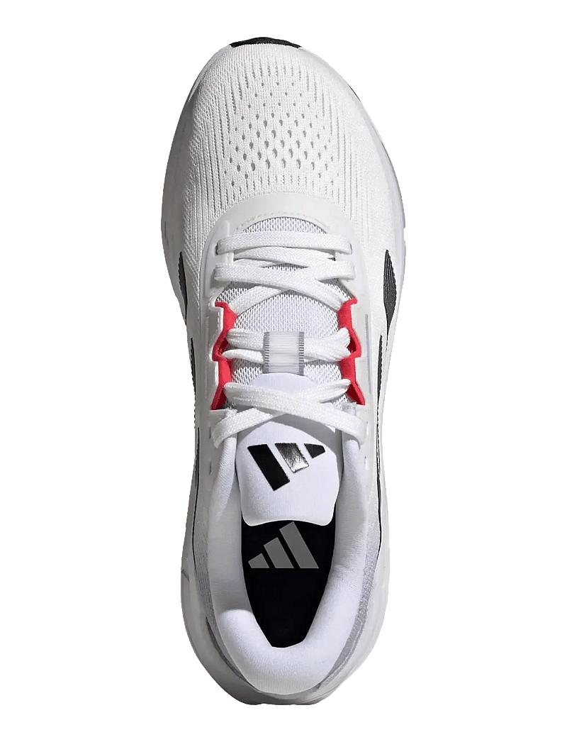 adidas Performance - QUESTAR 3 M - løbesko - ftwwht/cblack/purrub - 4