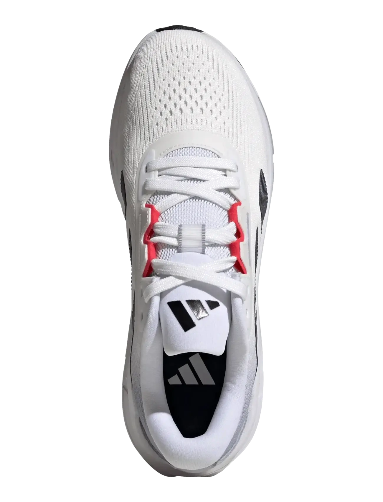 adidas Performance - QUESTAR 3 M - jooksujalatsid - ftwwht/cblack/purrub - 4