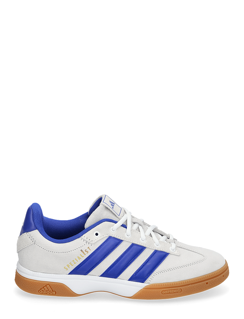 adidas Performance - SPEZIALIST - indoor-sportschuhe - ftwwht/lucblu/gretwo - 1