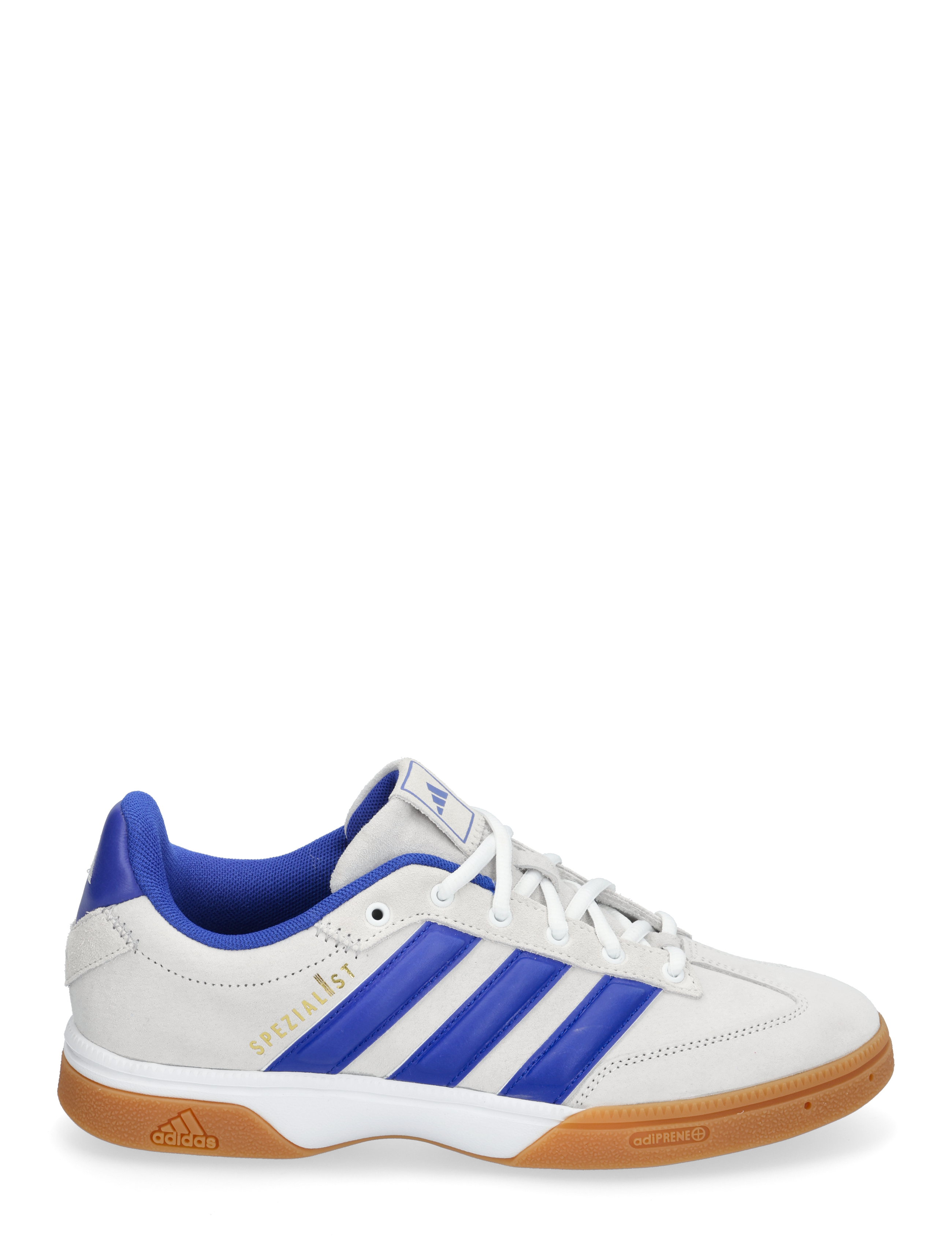 adidas Performance - SPEZIALIST - indoor-sportschuhe - ftwwht/lucblu/gretwo - 1
