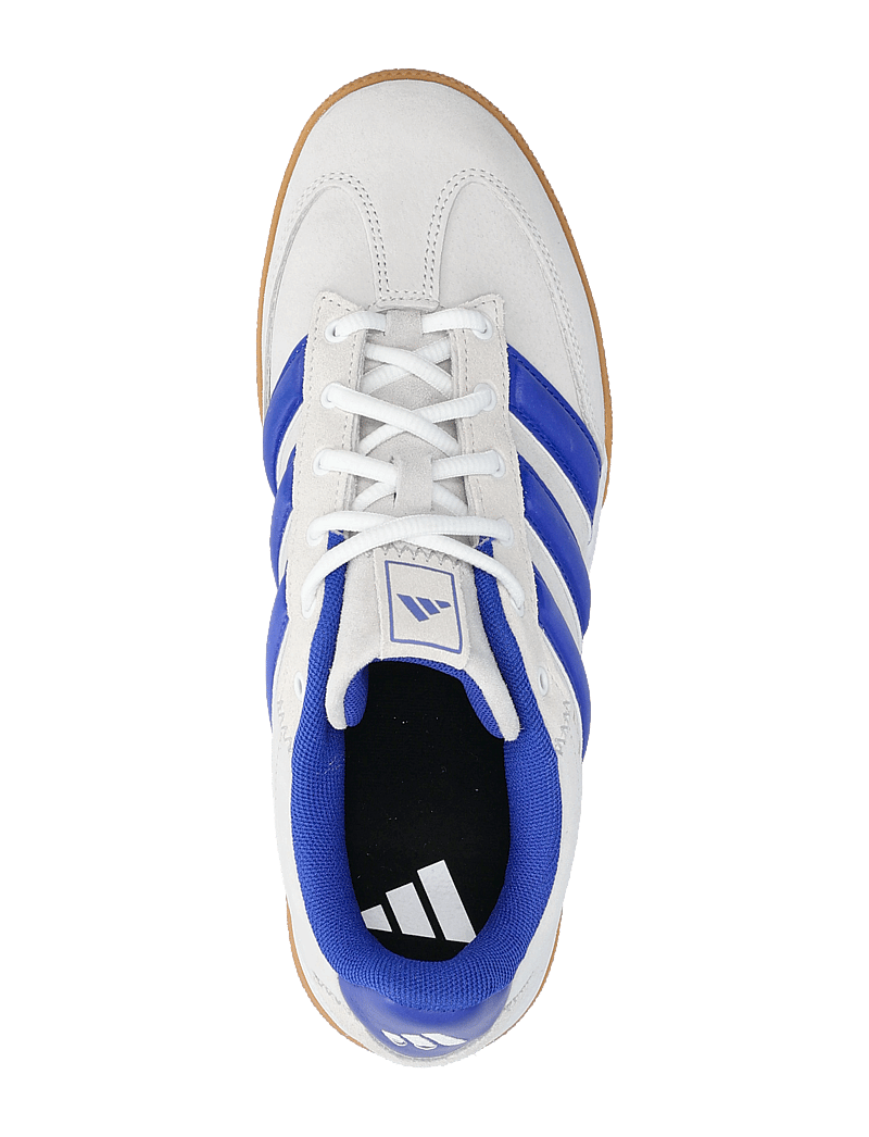 adidas Performance - SPEZIALIST - indoor-sportschuhe - ftwwht/lucblu/gretwo - 3