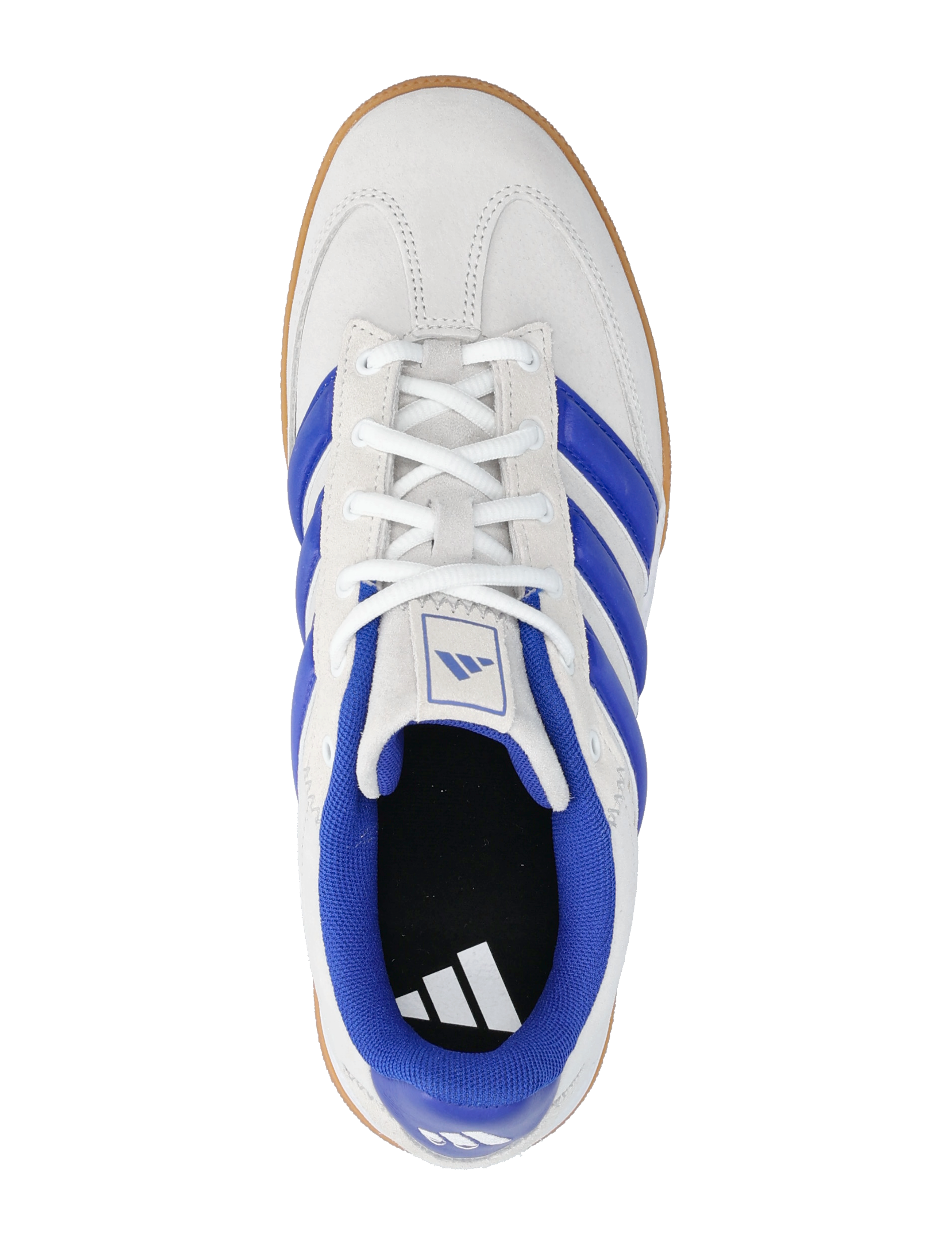 adidas Performance - SPEZIALIST - inomhusskor - ftwwht/lucblu/gretwo - 3