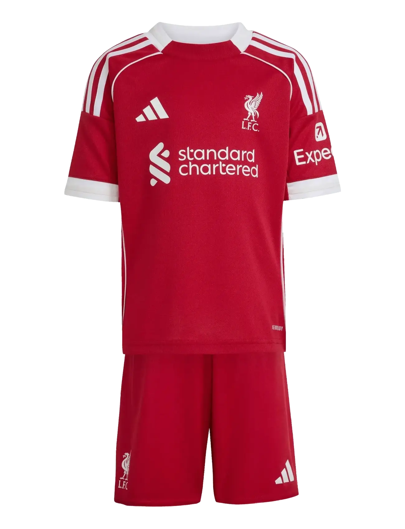 adidas Performance LFC H MINI - Fodbold - STRRED / red
