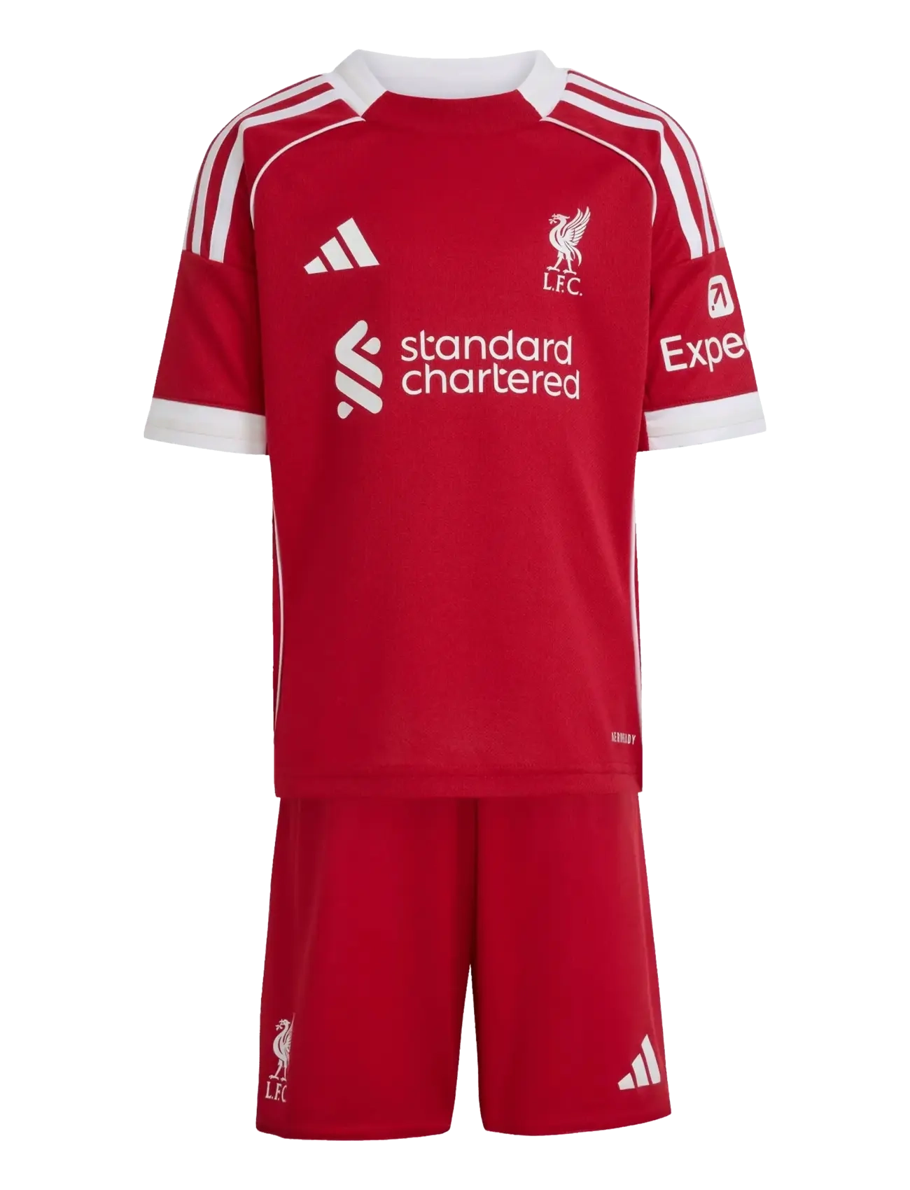 adidas Performance LFC H MINI - adidas - STRRED / red