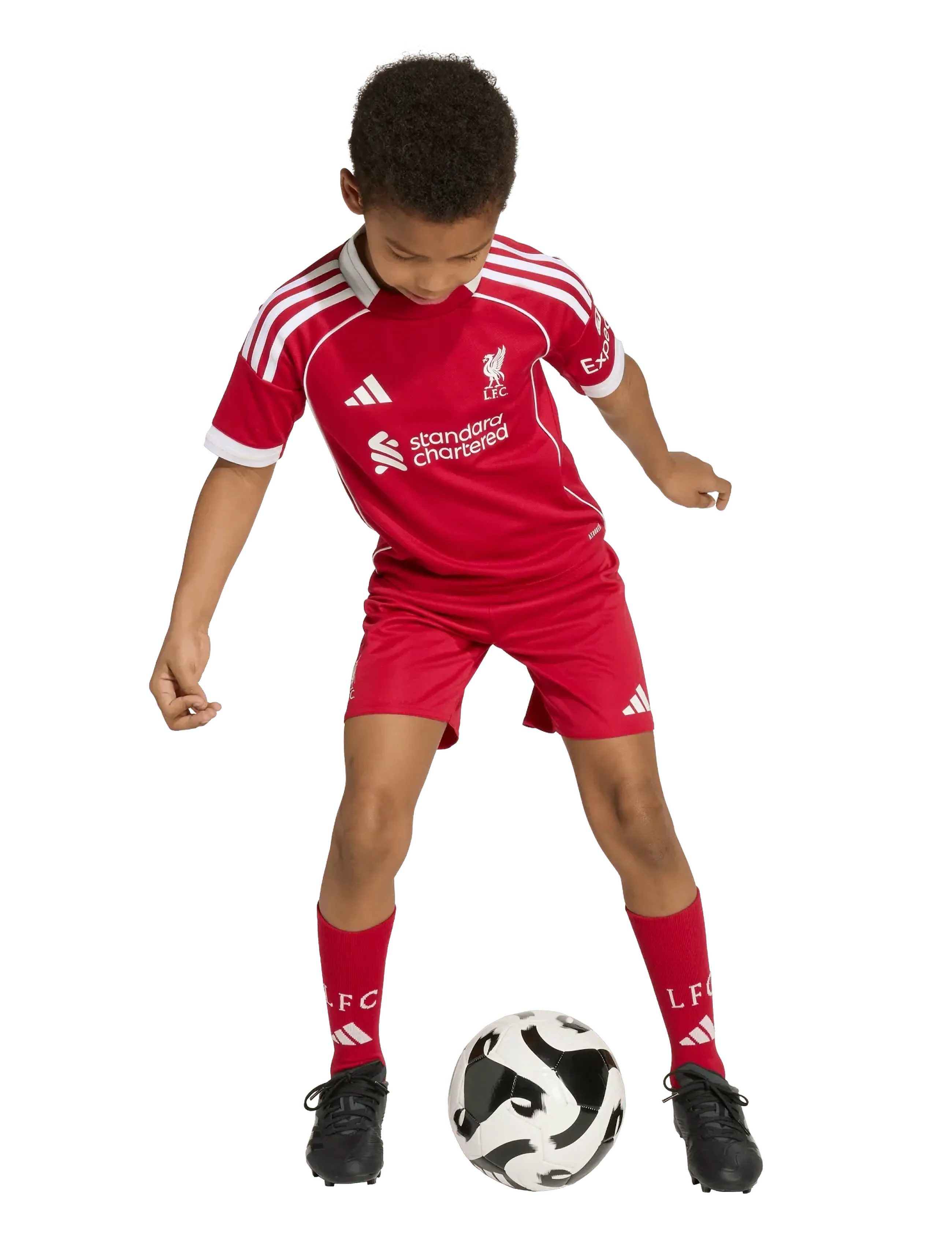 adidas Performance LFC H MINI - adidas Performance - STRRED / red