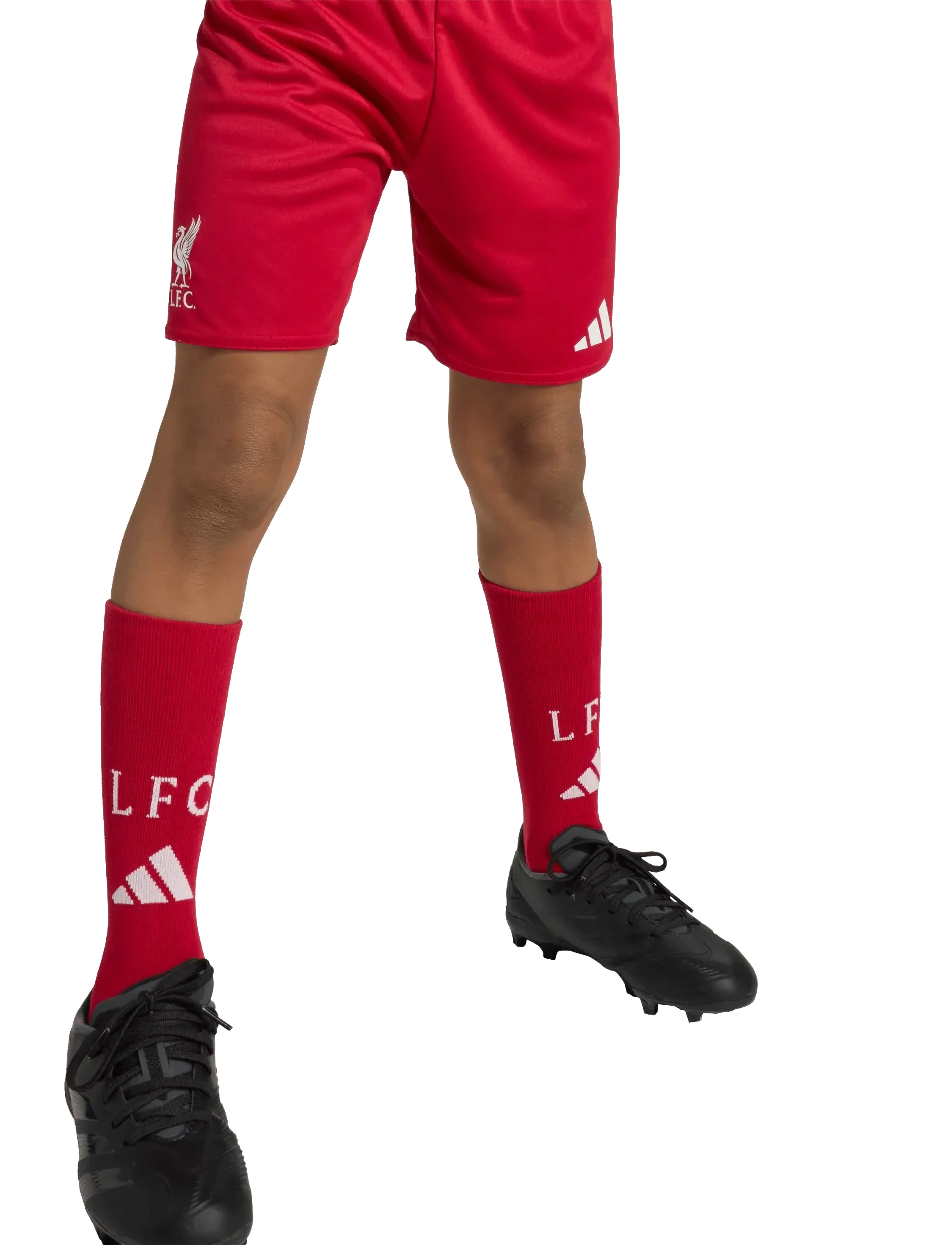 adidas Performance LFC H MINI - Vatertag - STRRED / red