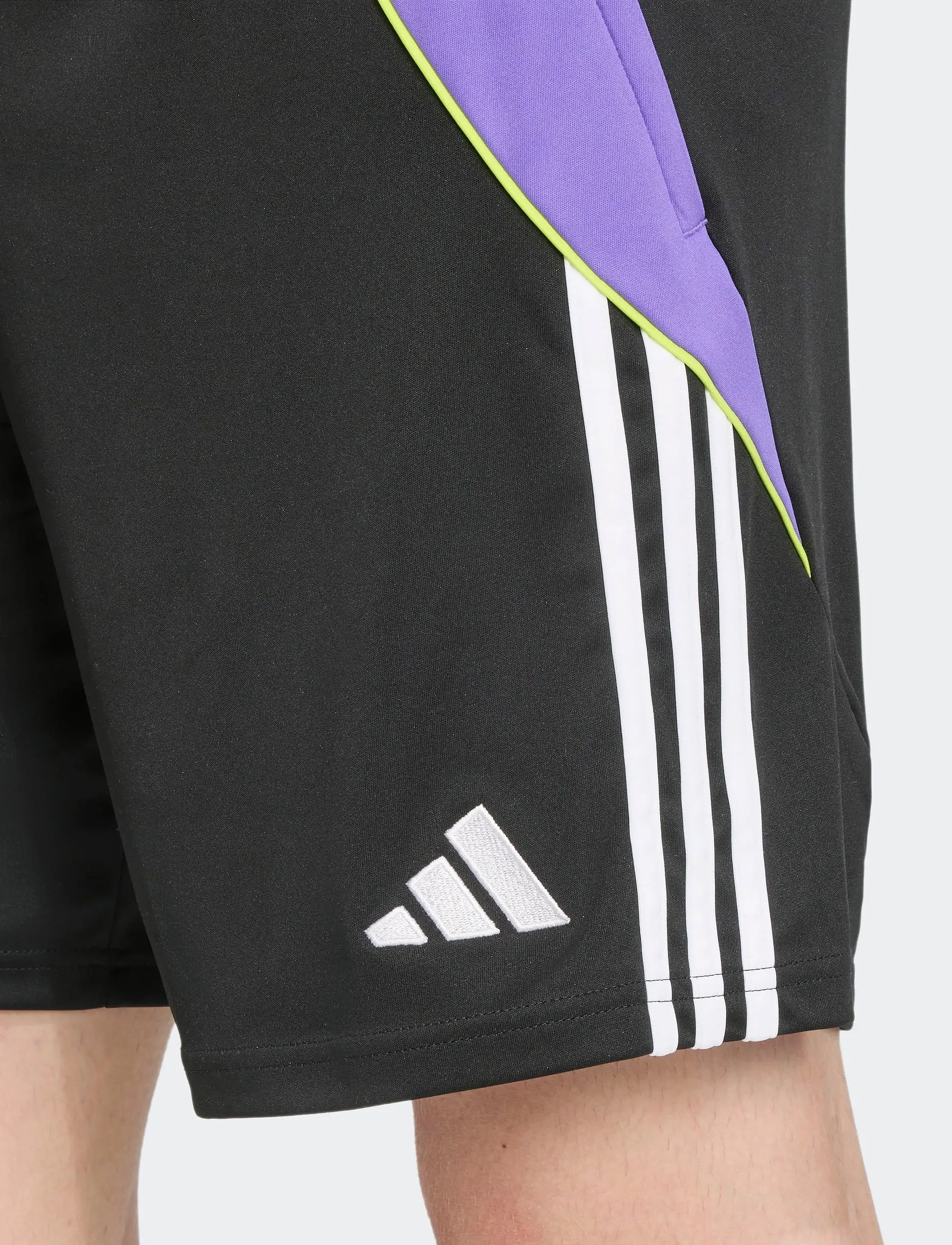 adidas Performance - TIRO24 TRSHO - trainingsshorts - black/purrus - 2