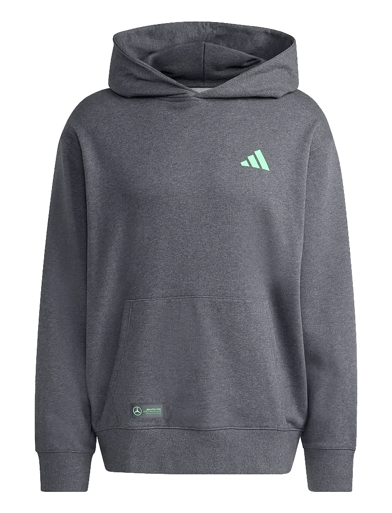 adidas Performance - MER PS HOOD M - oberteile - dgreyh - 1