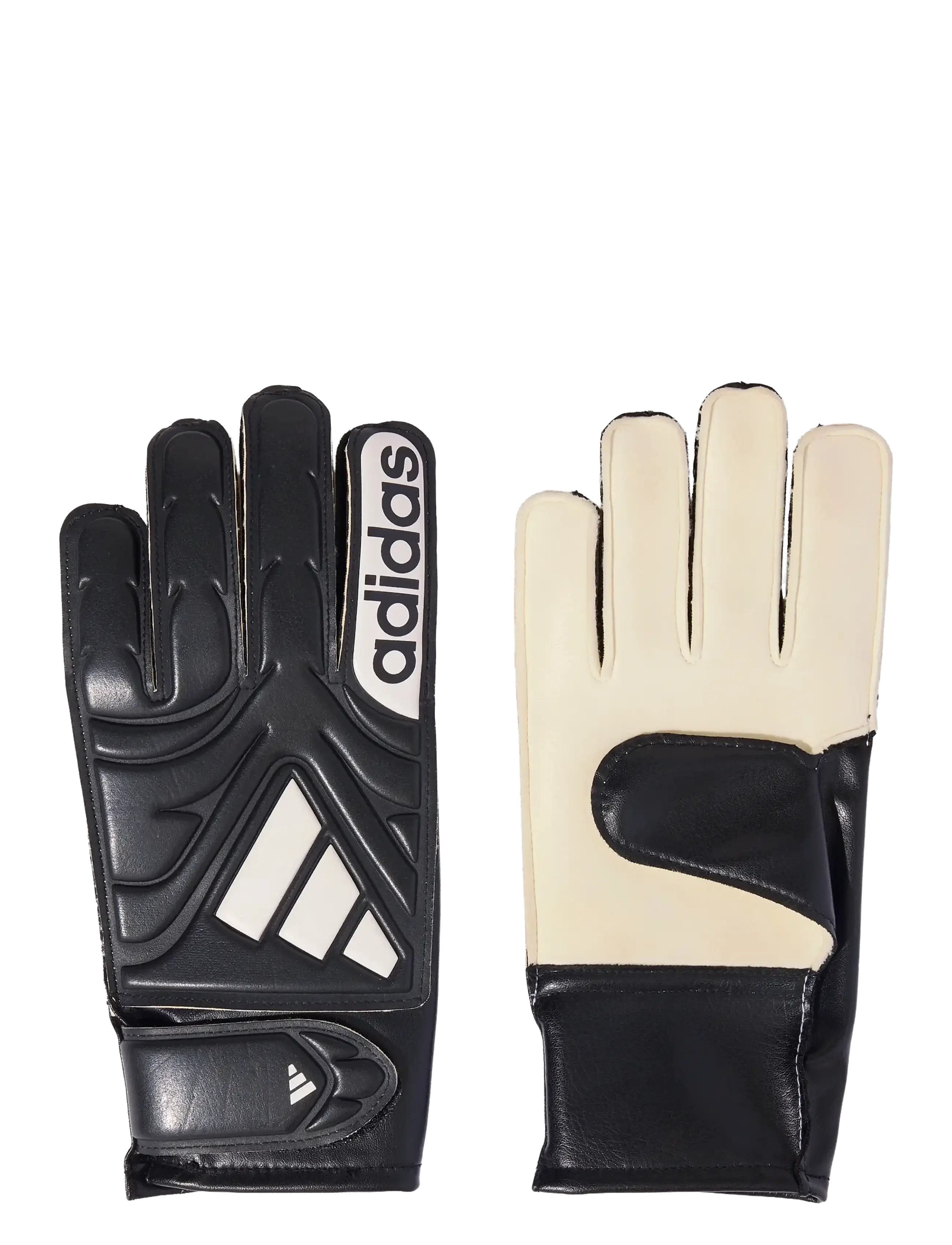 adidas Performance COPA GL CLB J - Futbola inventārs - BLACK/WHITE / black