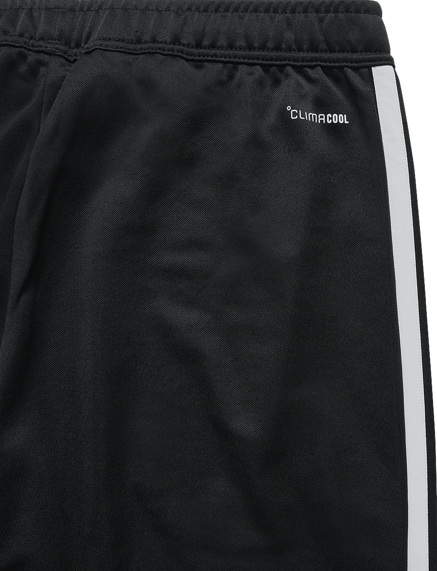 adidas Performance - TIRO26L TRPNTS - trainingshosen - black/white - 5