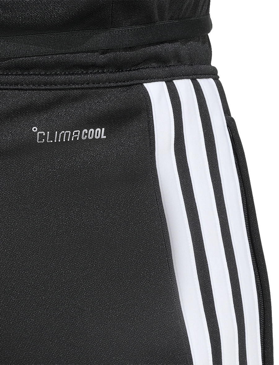 adidas Performance - TIRO26L TRPNTS - black/white - 5