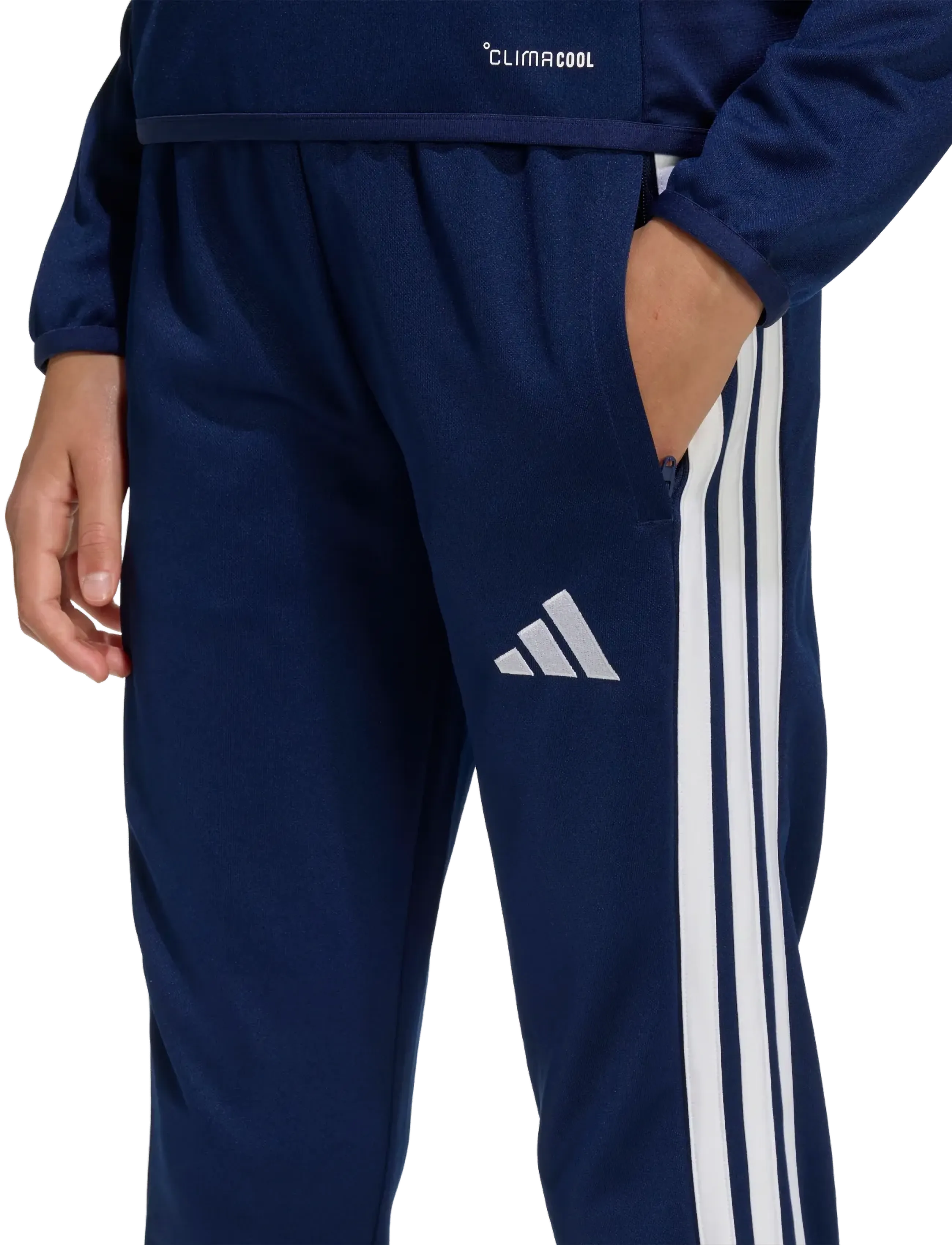 adidas Performance - TIRO26L  TRPTYS - tenabl/white - 5