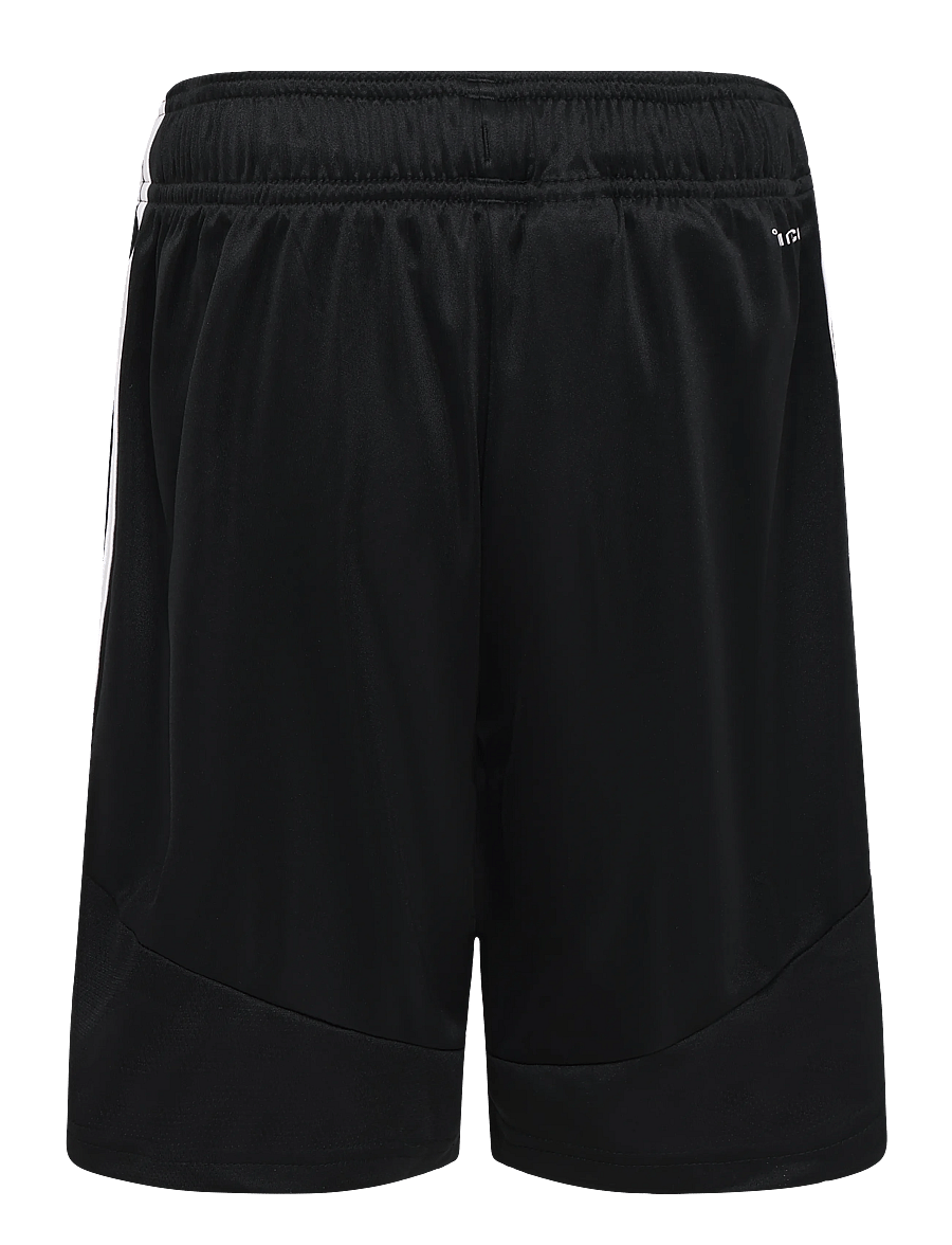adidas Performance - TIRO26L TRSHOY - lühikesed spordipüksid - black/white - 2