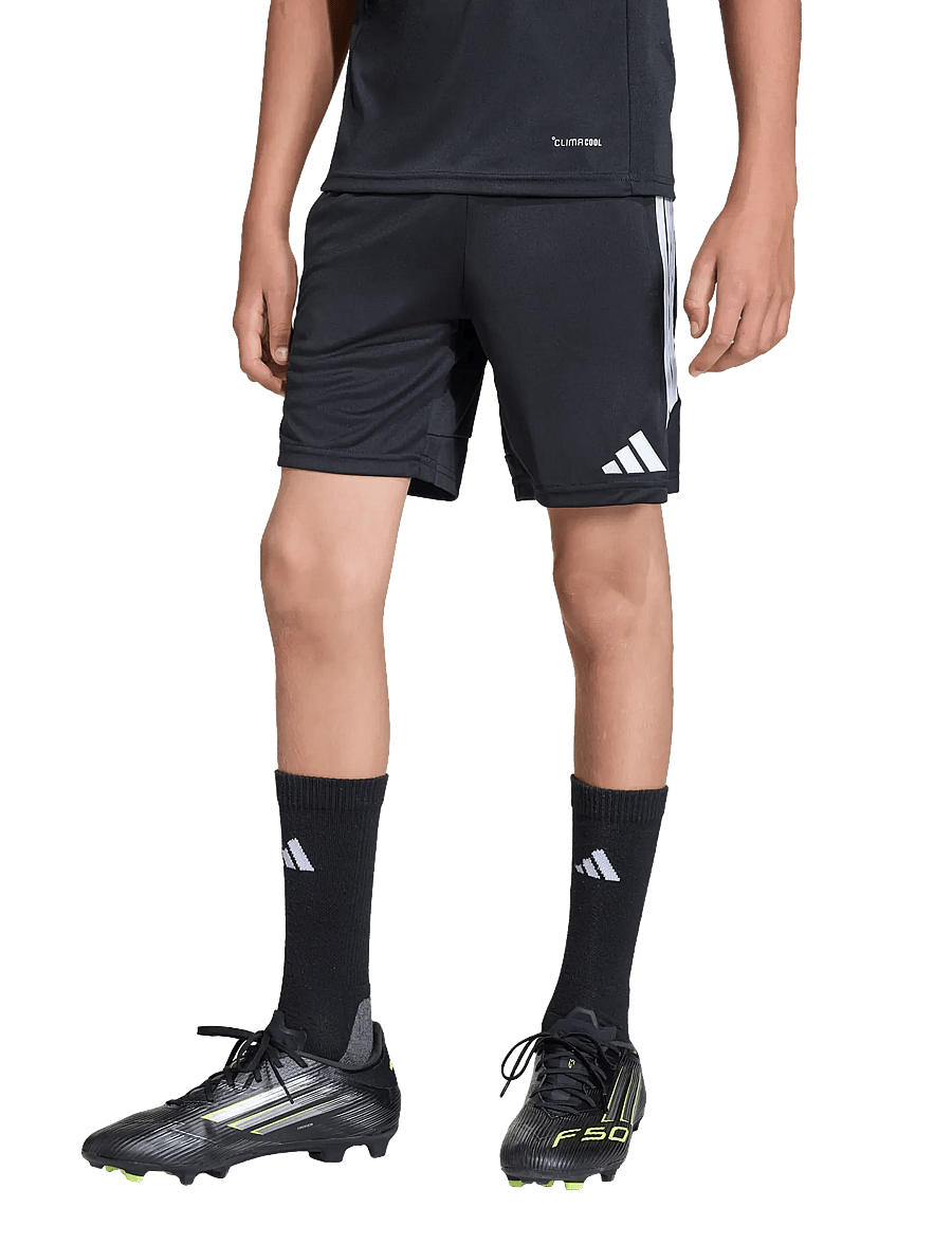 adidas Performance - TIRO26L TRSHOY - lühikesed spordipüksid - black/white - 5