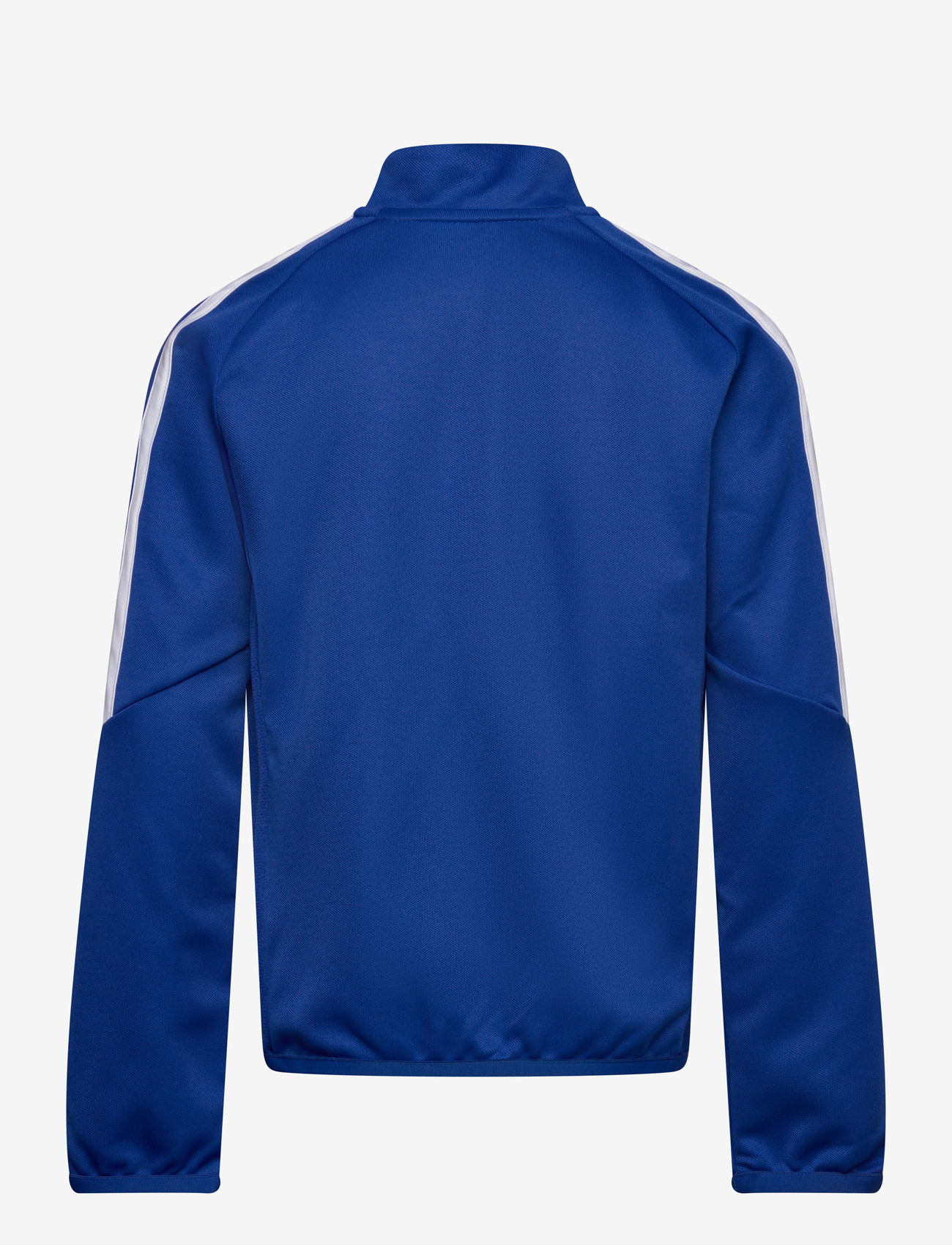 adidas Performance - TIRO26L TR TOPY - sweatshirts - royblu/white - 2