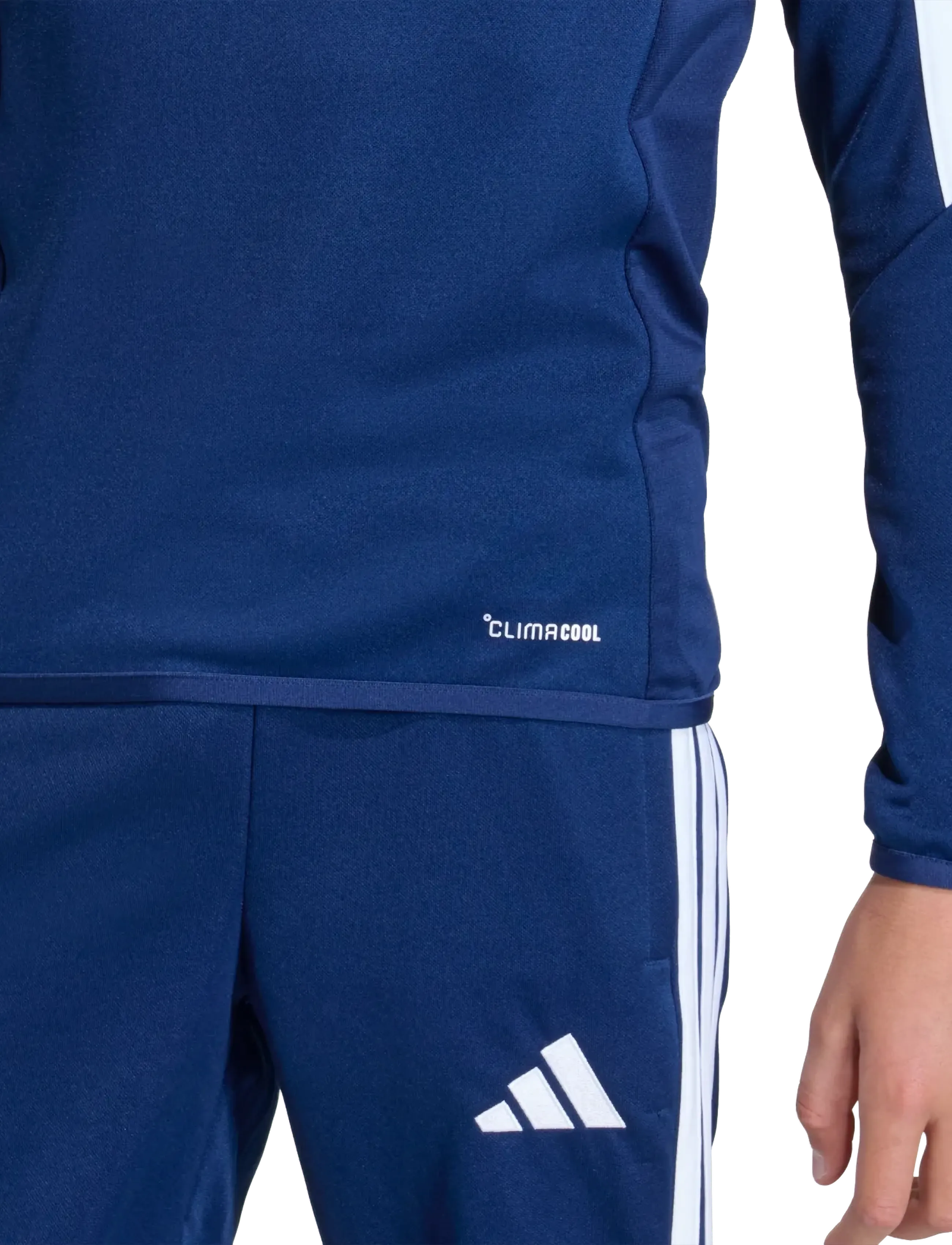 adidas Performance - TIRO26L TR TOPY - dressipluusid - tenabl/white - 5