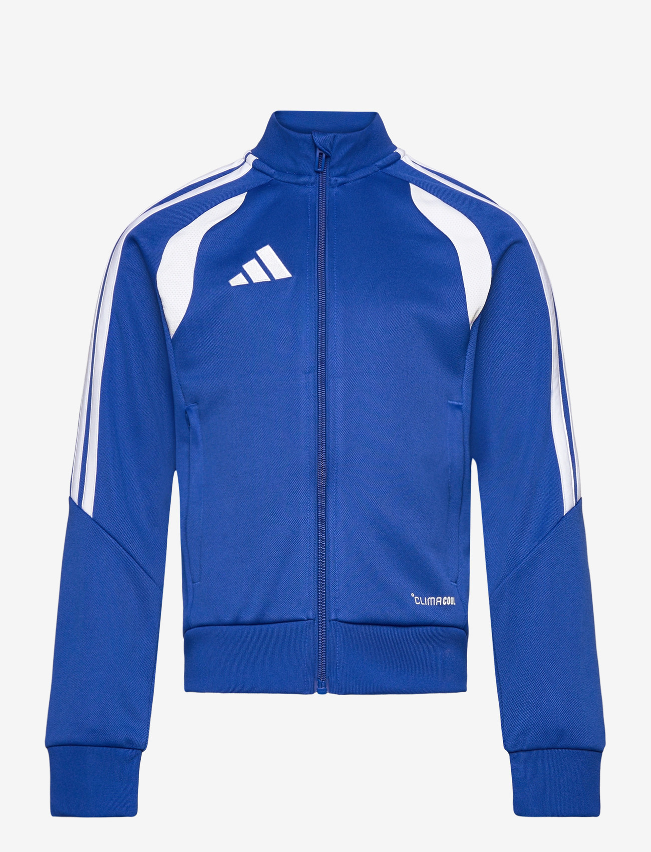 adidas Performance - TIRO26L TR JKTY - overtøj - royblu/white - 0