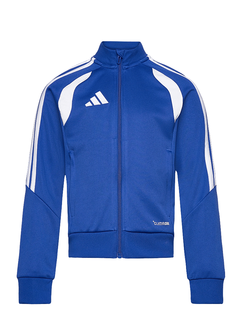 adidas Performance - TIRO26L TR JKTY - overtøj - royblu/white - 0