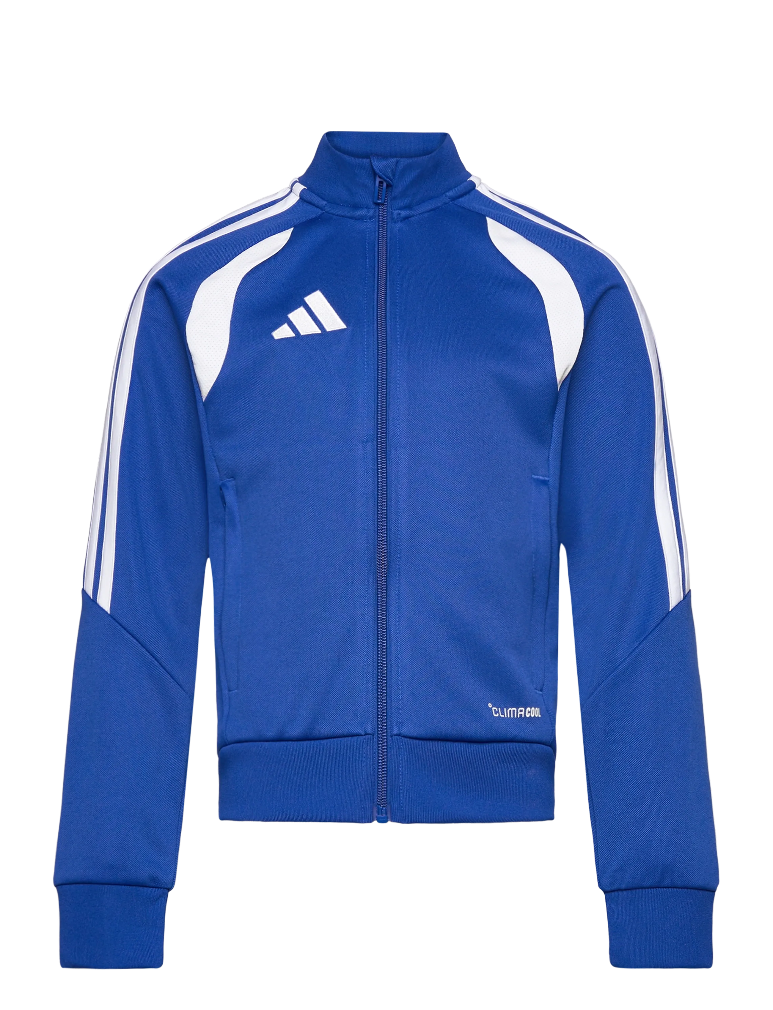 adidas Performance TIRO26L TR JKTY - Overtøj - ROYBLU/WHITE / blue