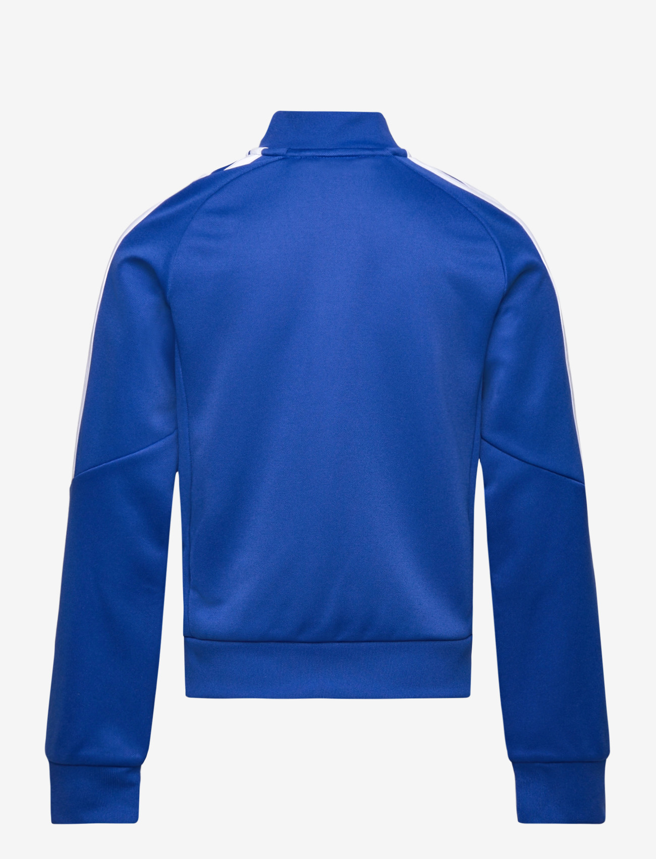 adidas Performance - TIRO26L TR JKTY - overtøj - royblu/white - 1