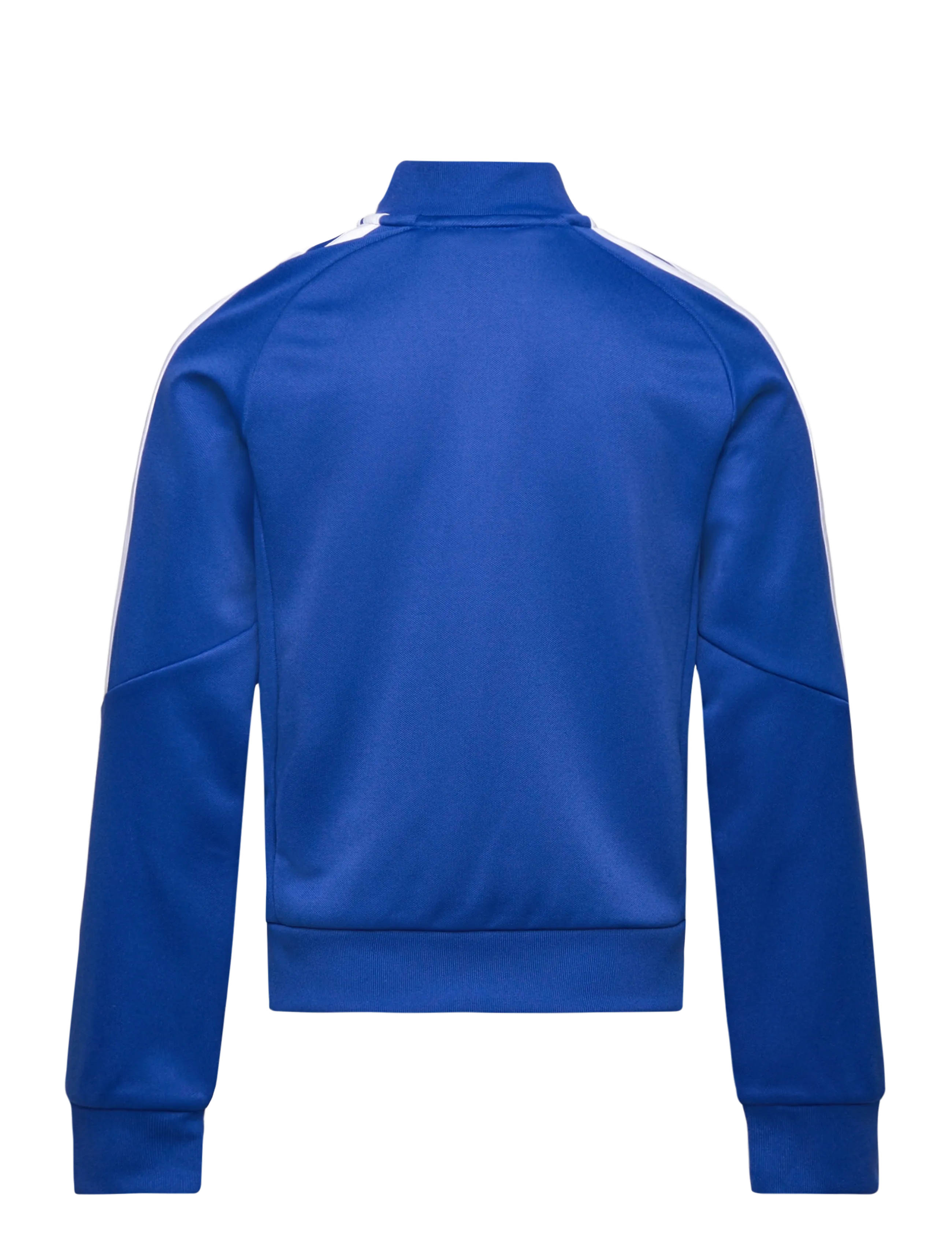 adidas Performance - TIRO26L TR JKTY - outdoor - royblu/white - 1