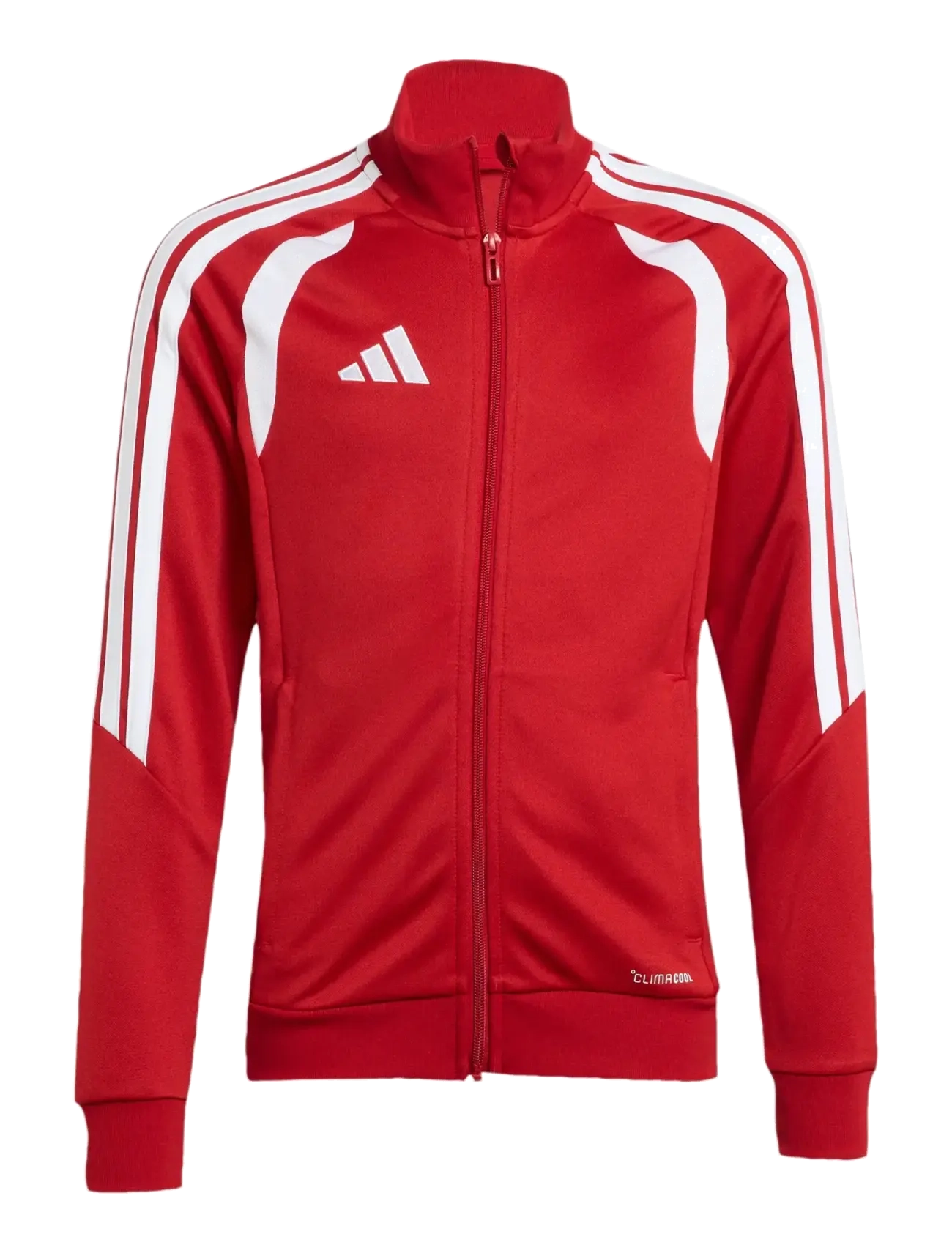 adidas Performance - TIRO26L TR JKTY - overtøj - tepore/white - 1