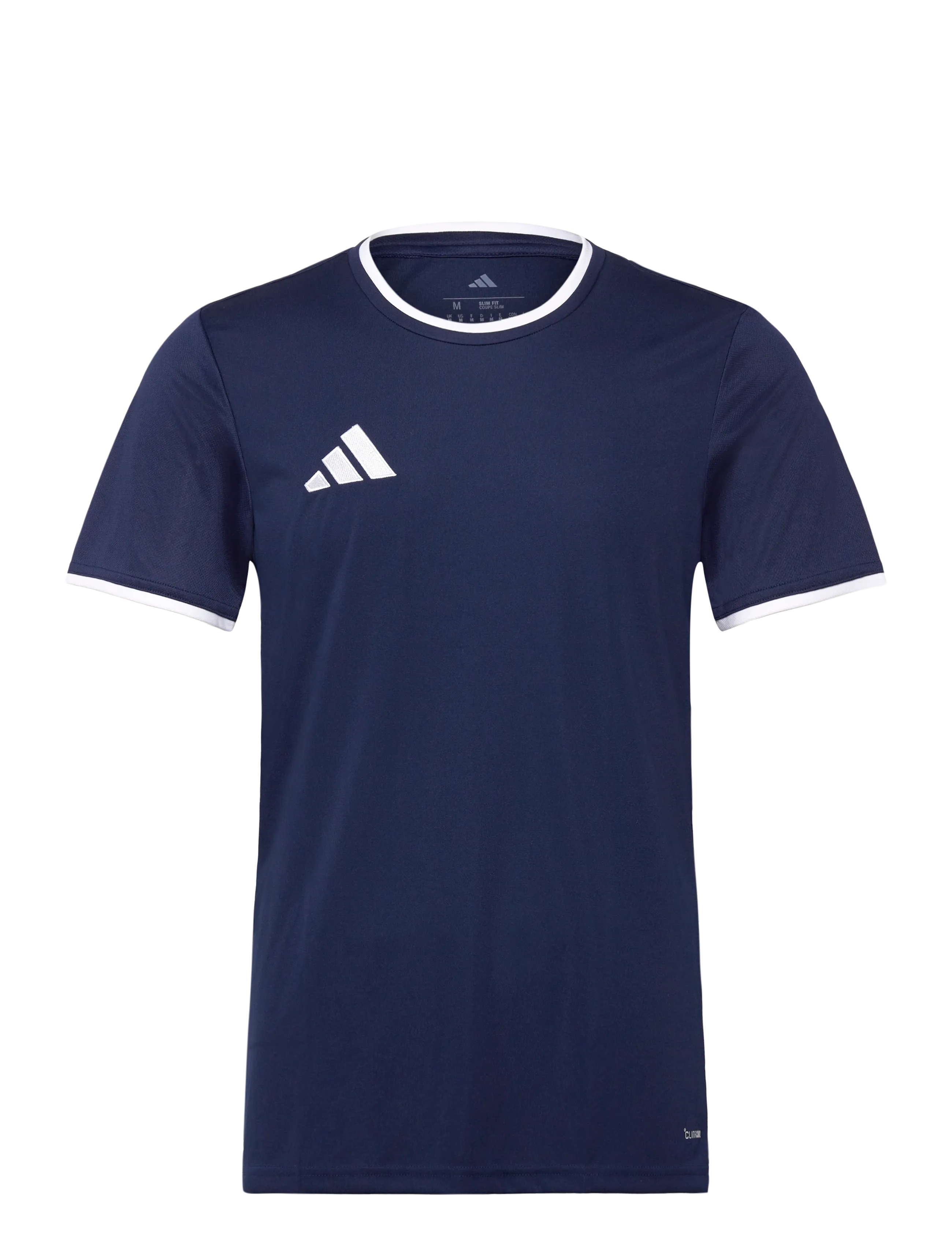 adidas Performance ENT26 JSY - adidas Performance - TENABL/WHITE / navy