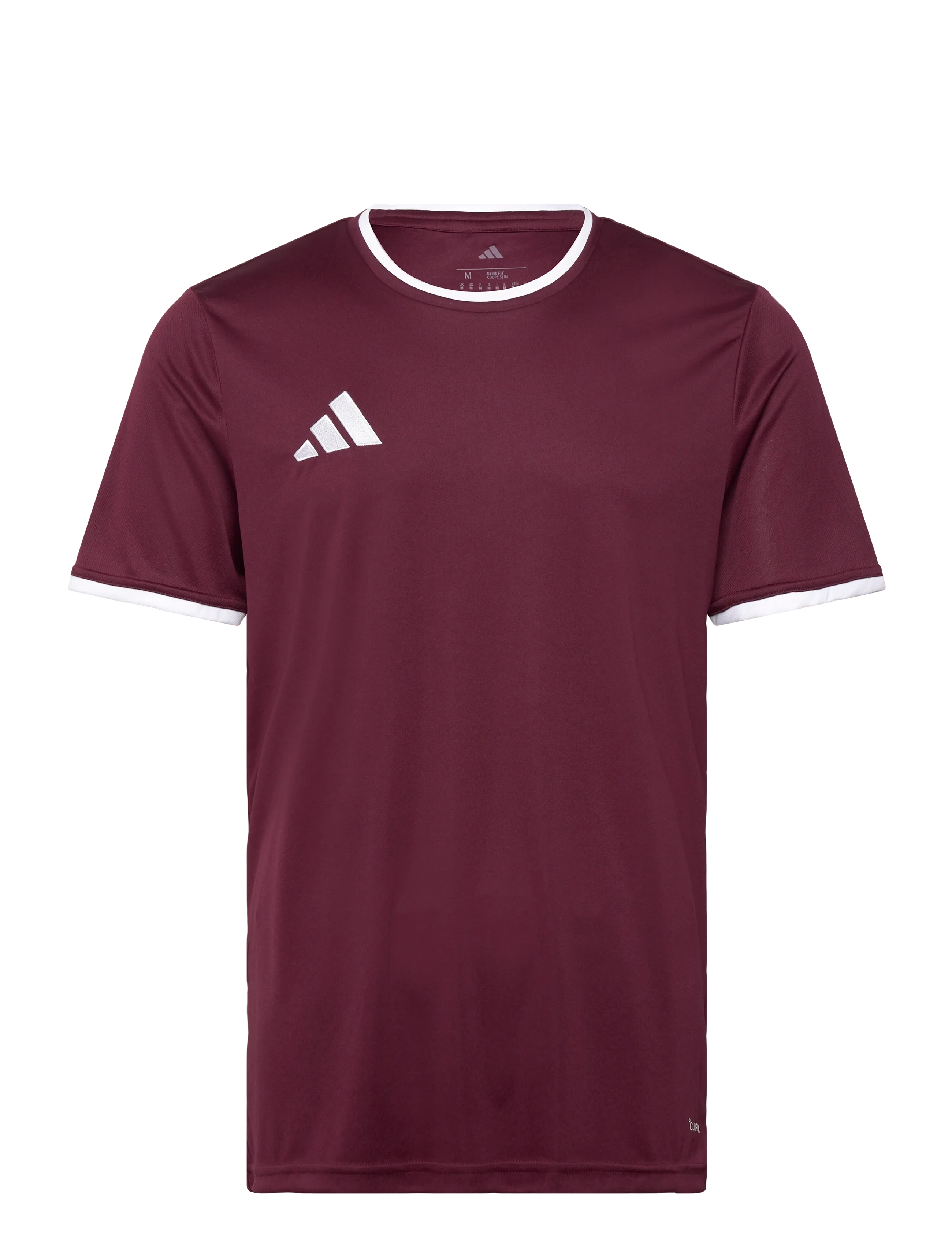 adidas Performance ENT26 JSY - adidas - TEAMAR/WHITE / burgundy