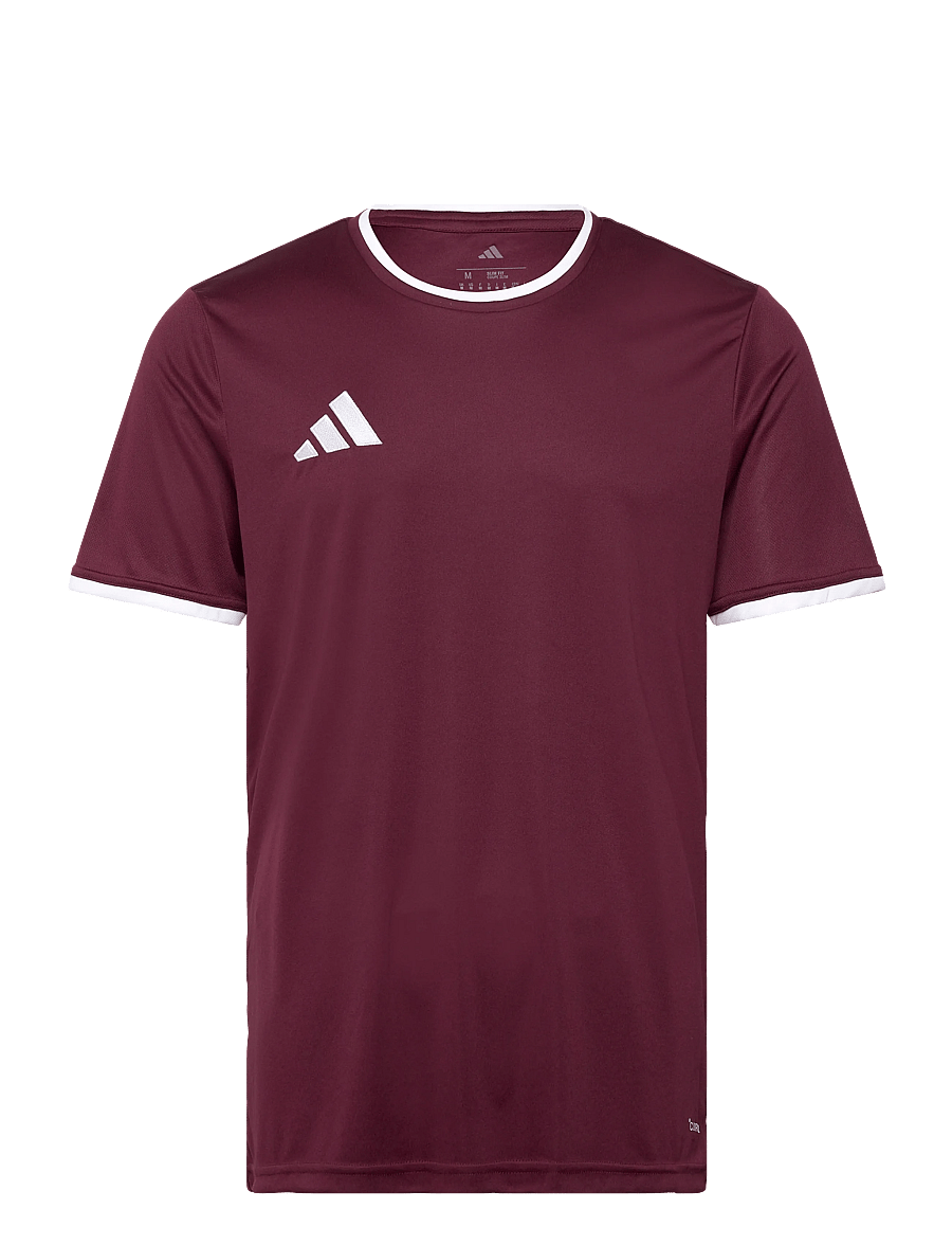 adidas Performance - ENT26 JSY - jalgpallisärgid - teamar/white - 0