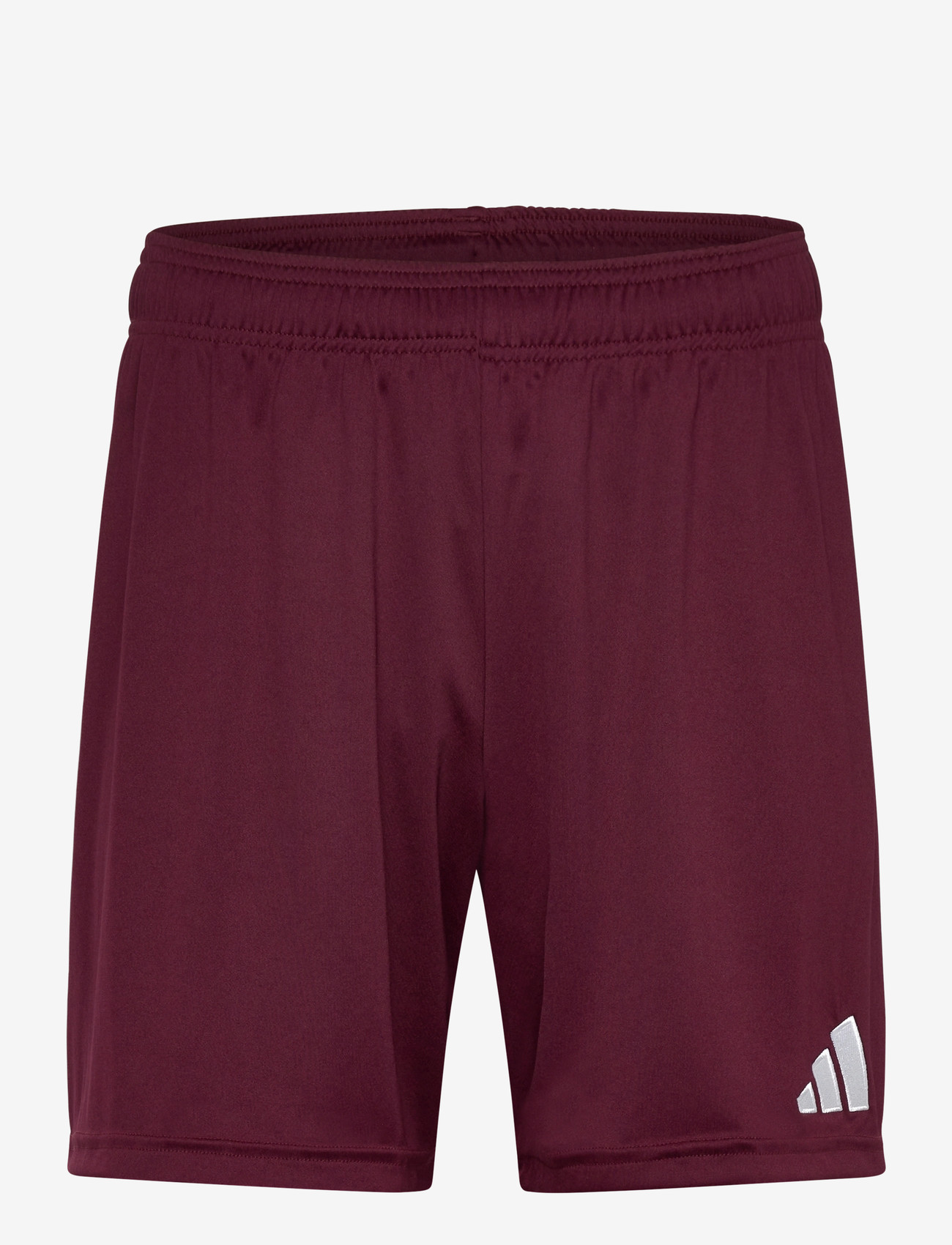 adidas Performance - ENT26 SHO - trainingsshorts - teamar/white - 0