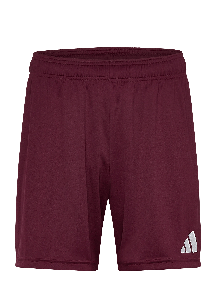 adidas Performance - ENT26 SHO - lühikesed treeningpüksid - teamar/white - 0