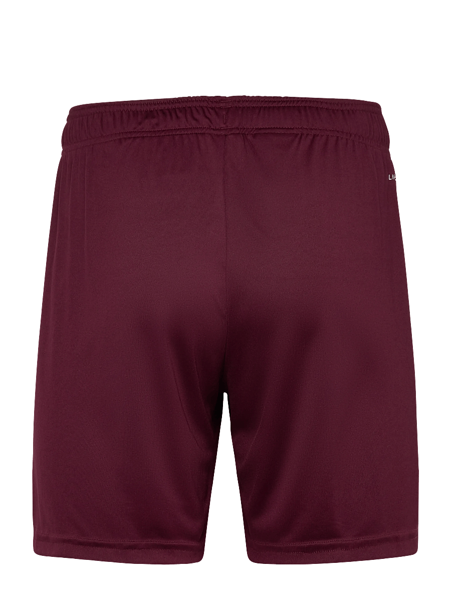 adidas Performance - ENT26 SHO - lühikesed treeningpüksid - teamar/white - 1