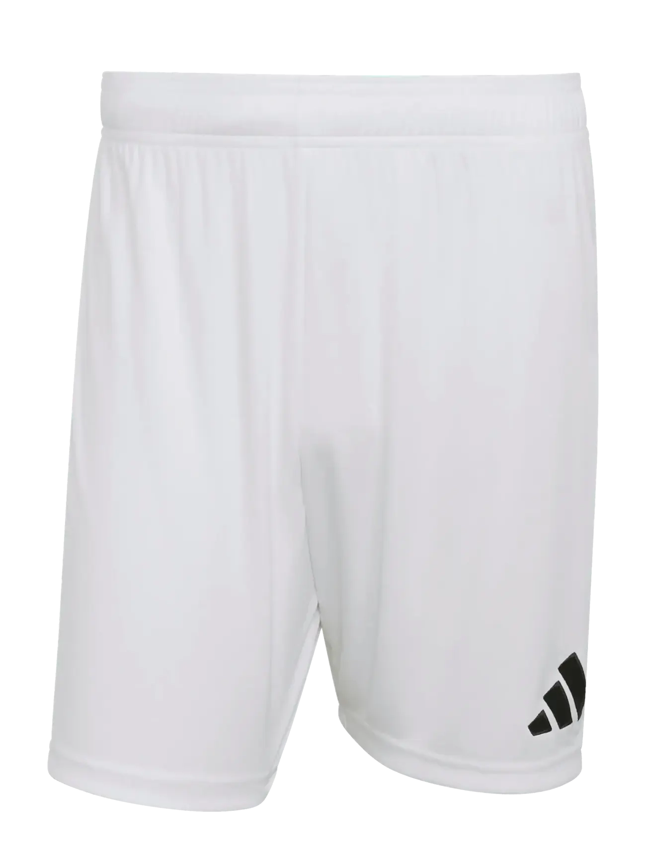 adidas Performance ENT26 SHO - adidas - WHITE/BLACK / white