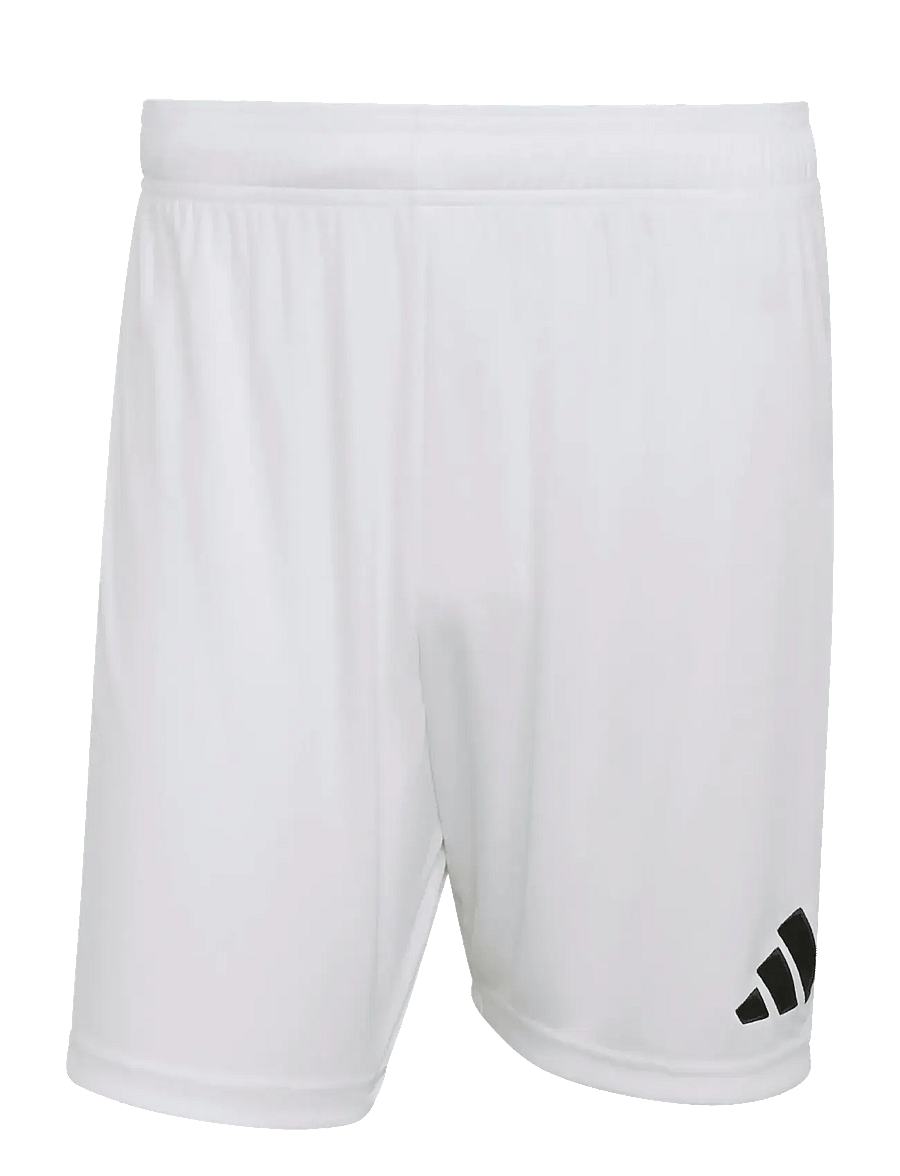 adidas Performance - ENT26 SHO - lühikesed treeningpüksid - white/black - 1
