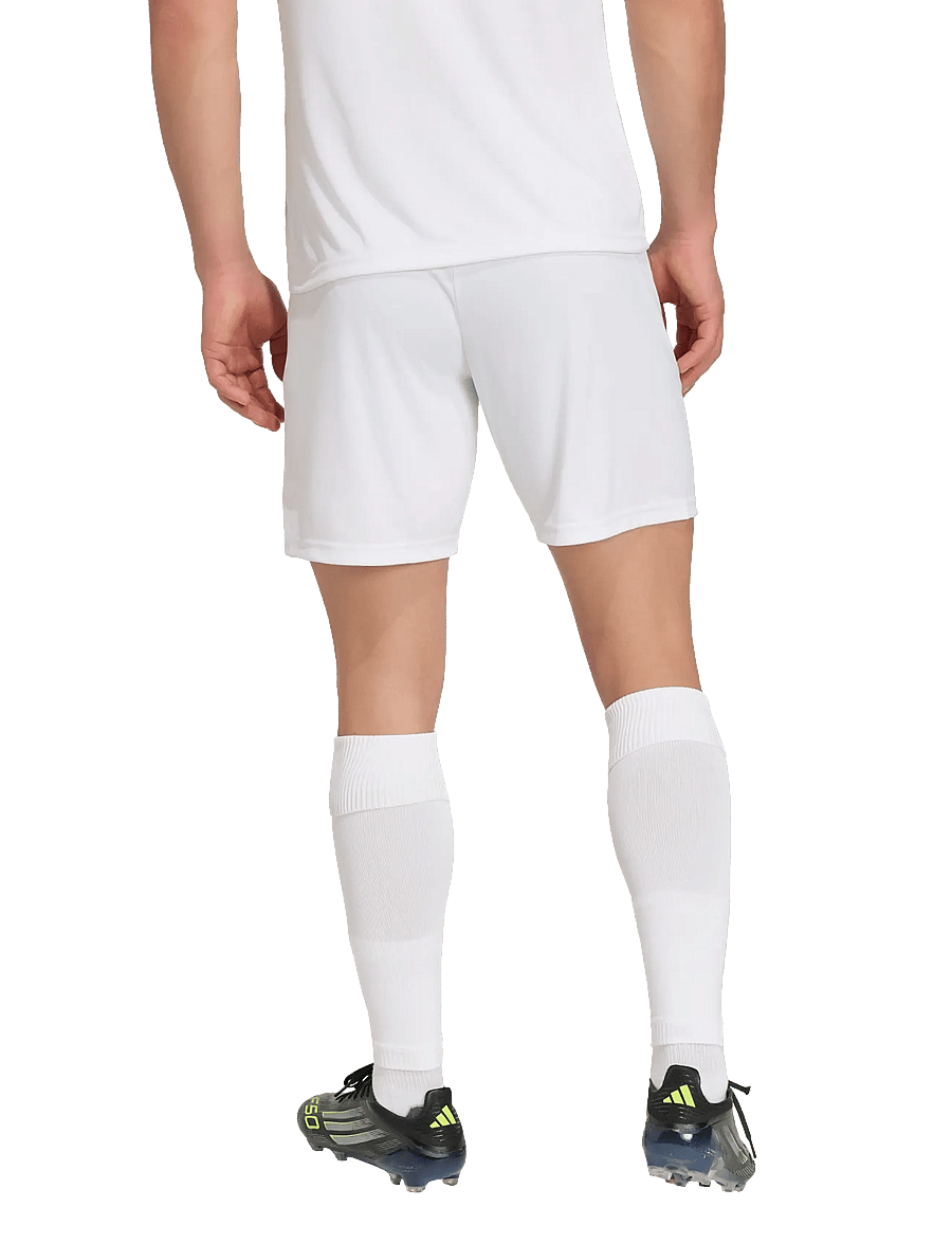 adidas Performance - ENT26 SHO - lühikesed treeningpüksid - white/black - 3
