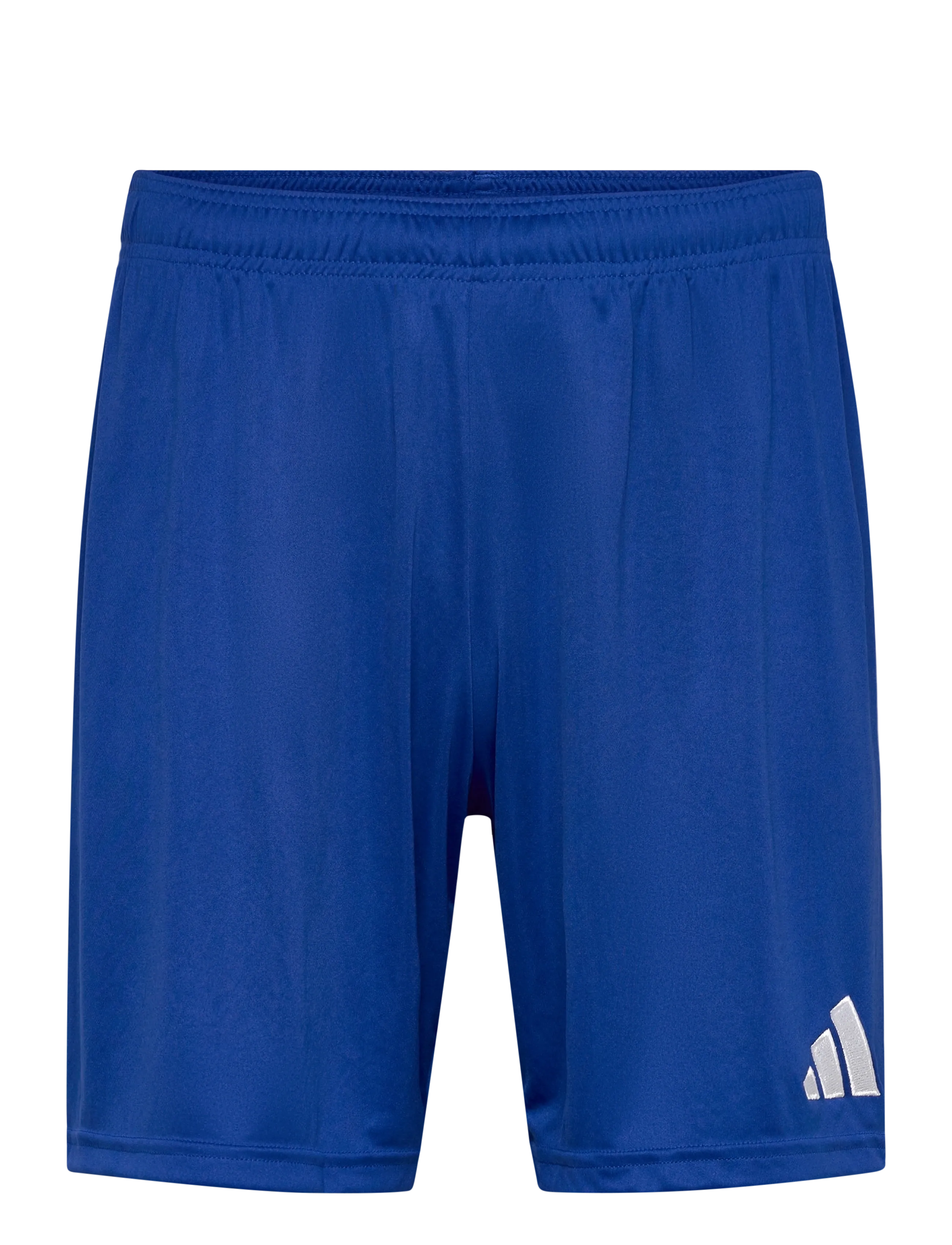 adidas Performance ENT26 SHO - adidas - ROYBLU/WHITE / blue