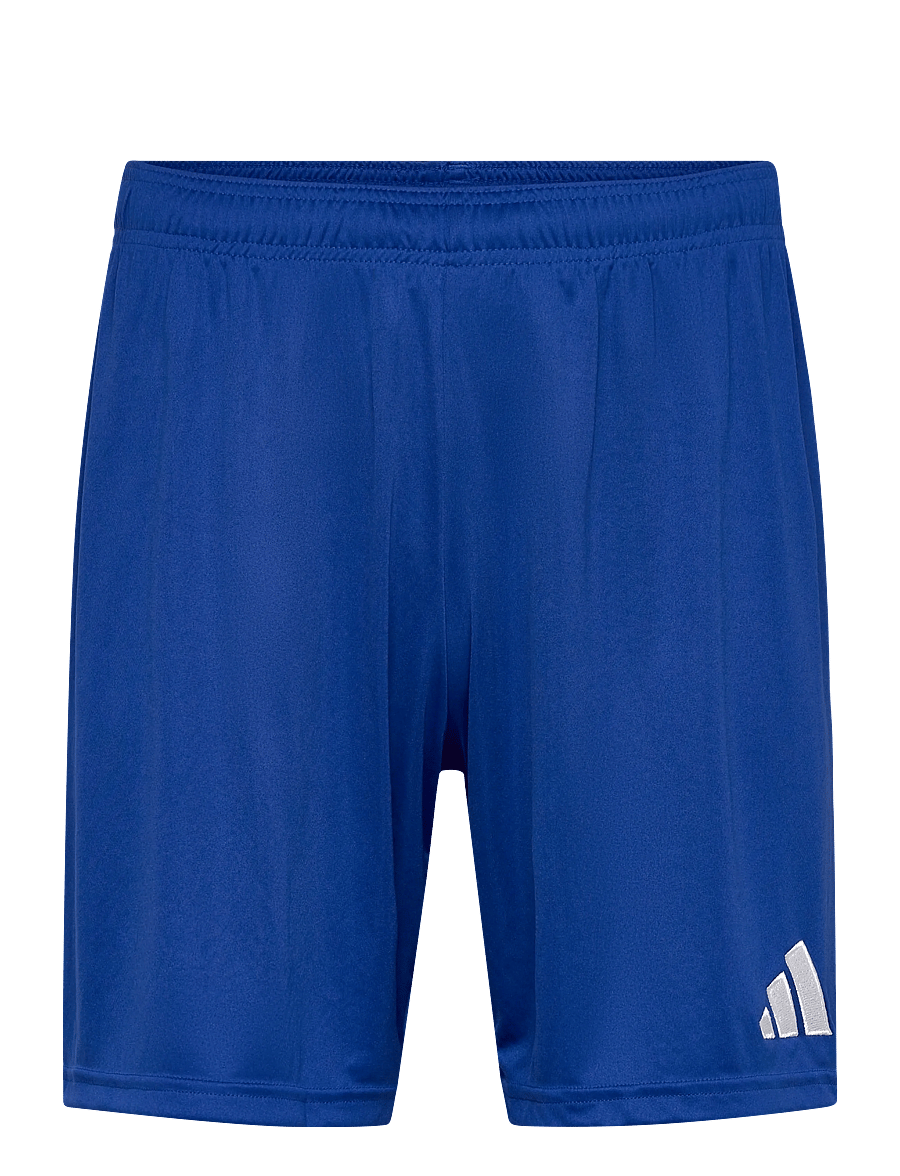 adidas Performance - ENT26 SHO - trainingsshorts - royblu/white - 0