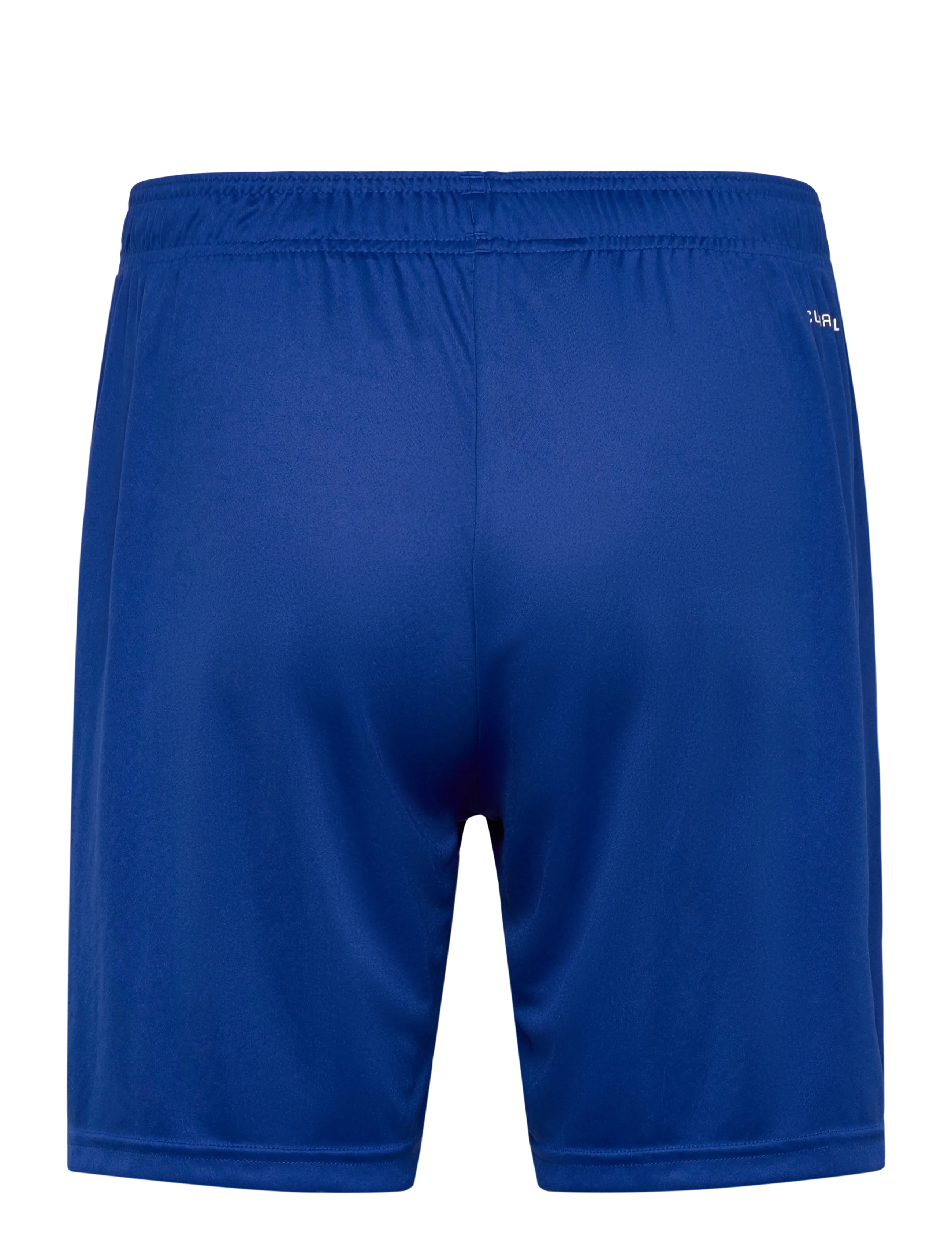 adidas Performance - ENT26 SHO - träningsshorts - royblu/white - 1