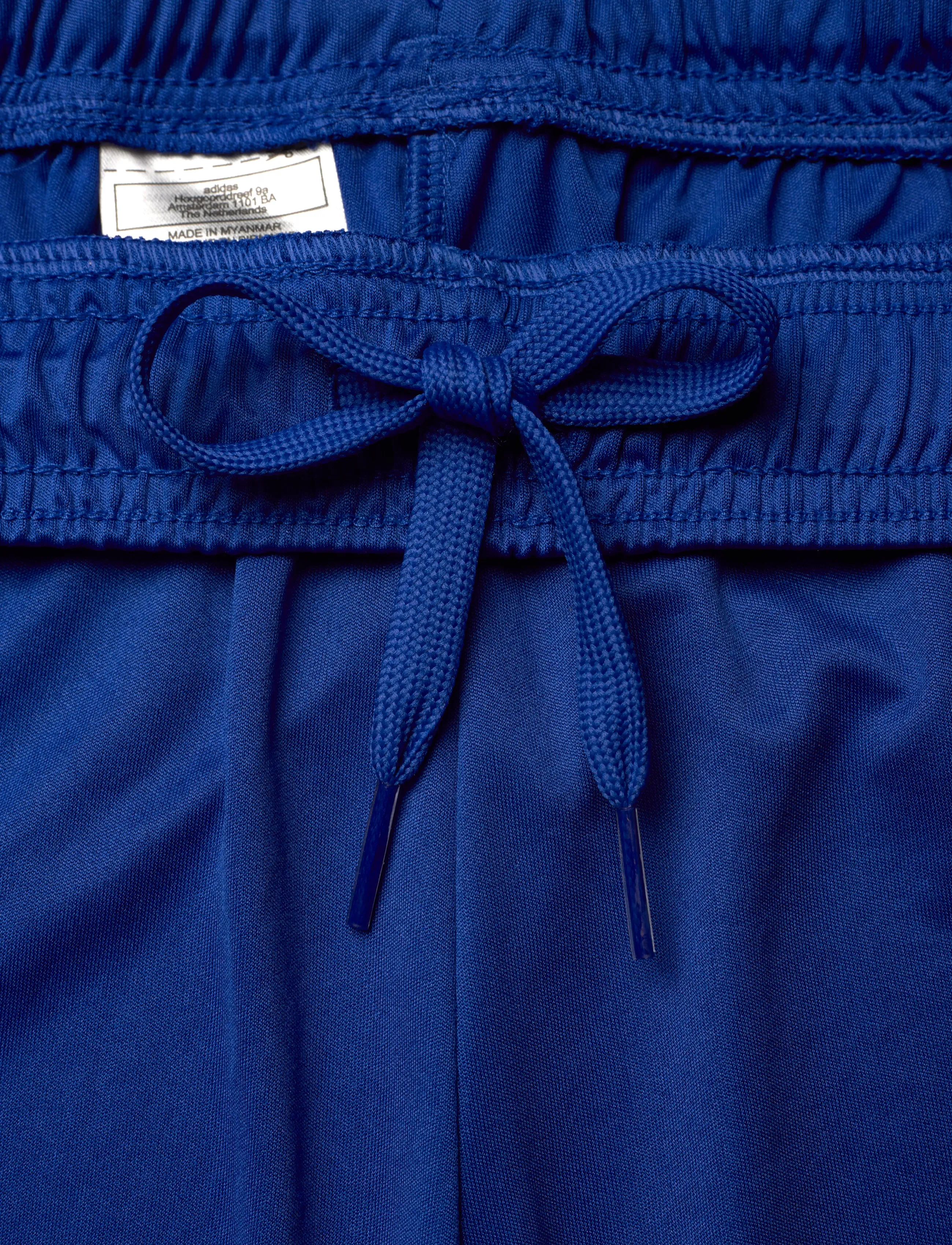 adidas Performance - ENT26 SHO - träningsshorts - royblu/white - 2