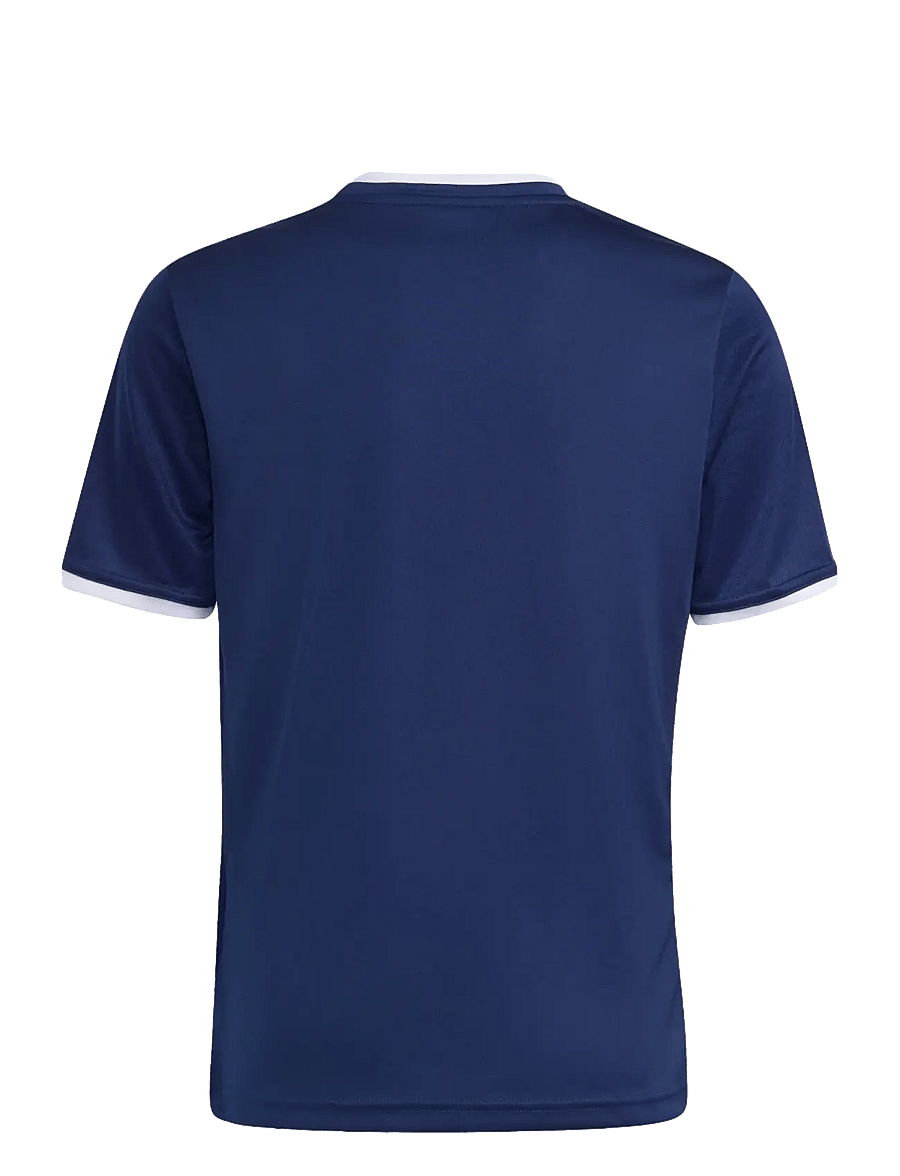 adidas Performance - ENT26 JSY Y - sportoberteile - tenabl/white - 2