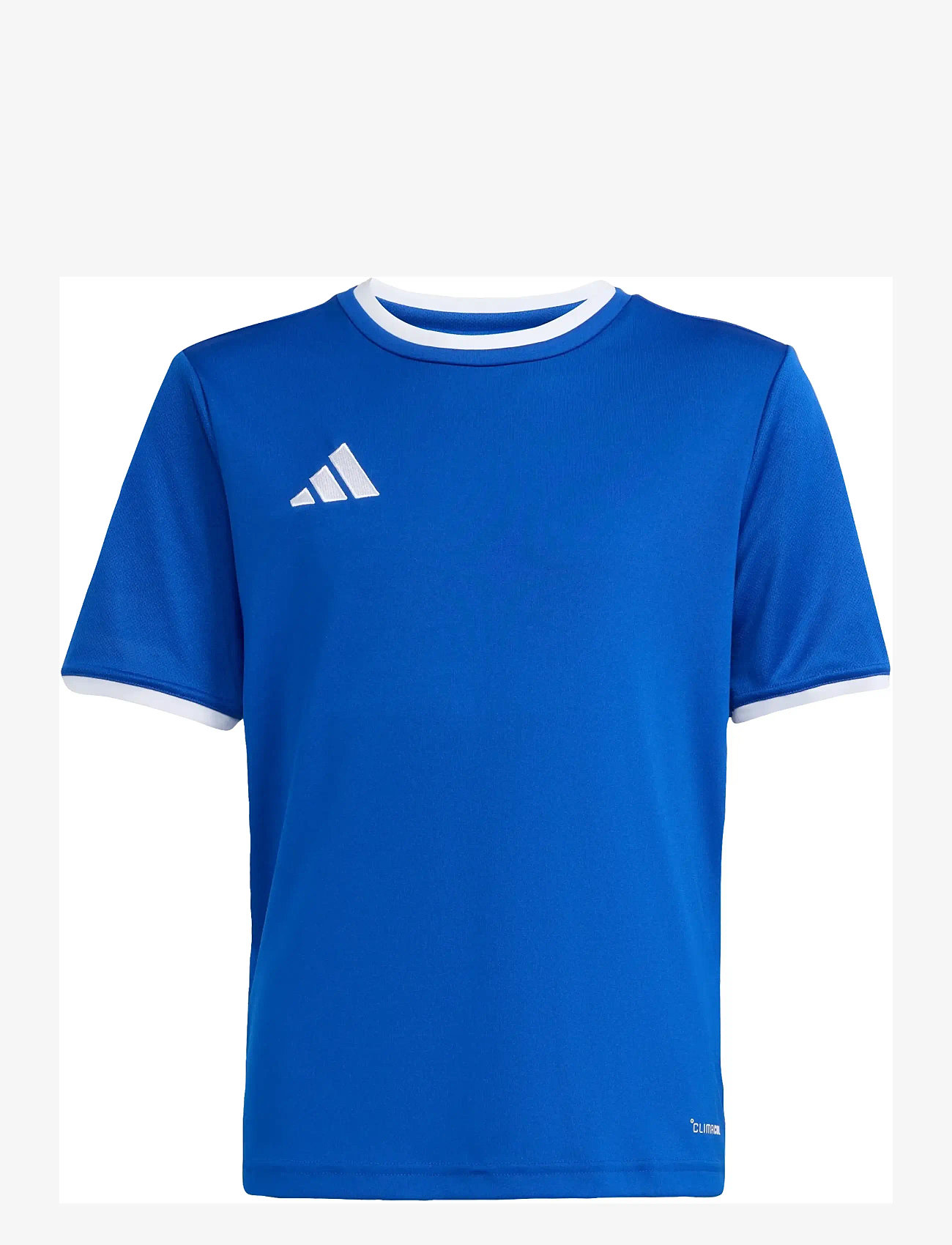 adidas Performance - ENT26 JSY Y - sportoberteile - royblu/white - 1