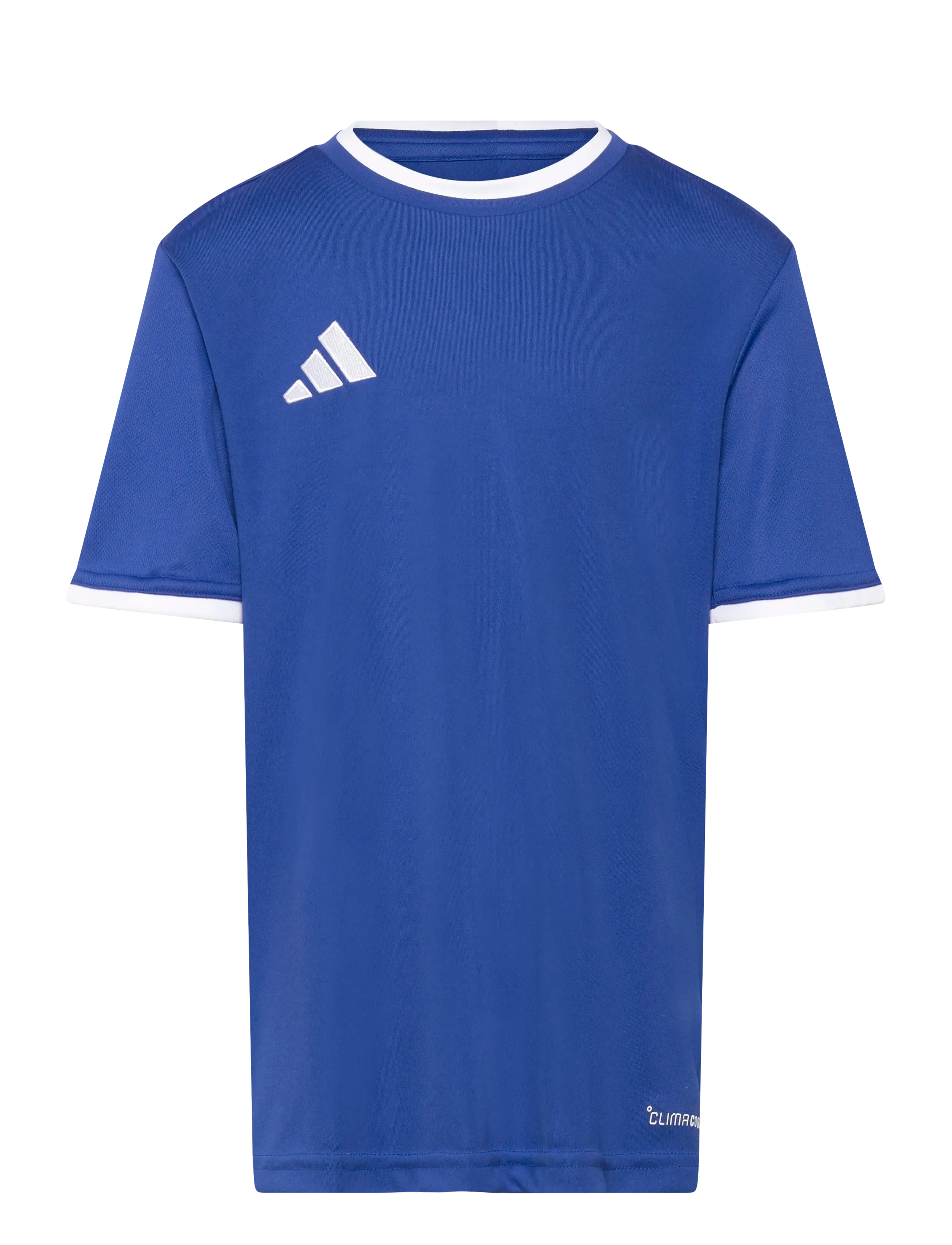 adidas Performance ENT26 JSY Y - Kortærmede T-shirts - ROYBLU/WHITE / blue